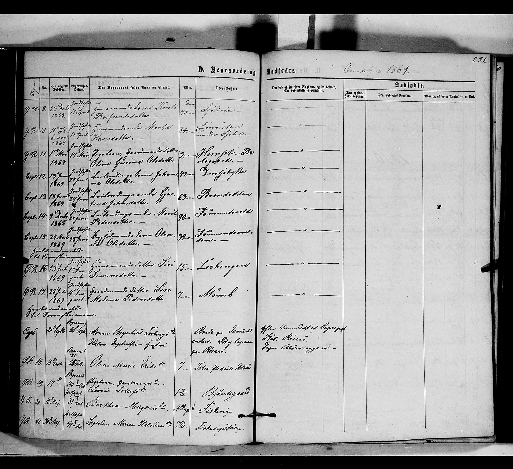 Rendalen prestekontor, AV/SAH-PREST-054/H/Ha/Haa/L0006: Parish register (official) no. 6, 1867-1877, p. 238