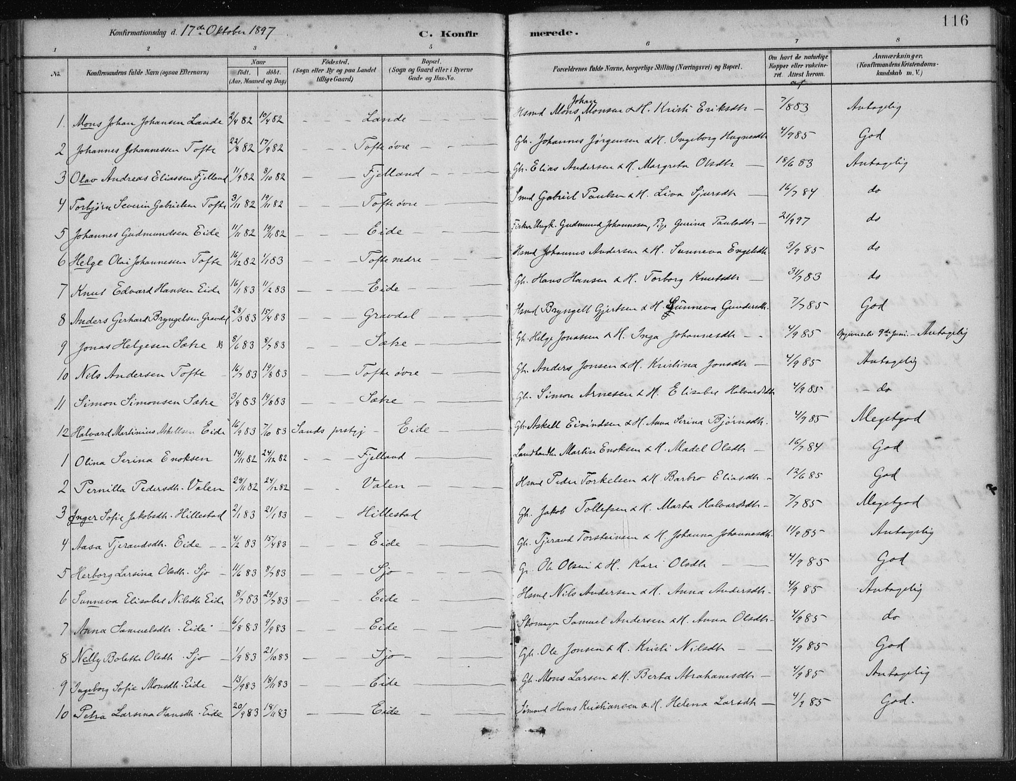 Fjelberg sokneprestembete, AV/SAB-A-75201/H/Haa: Parish register (official) no. C  1, 1879-1918, p. 116