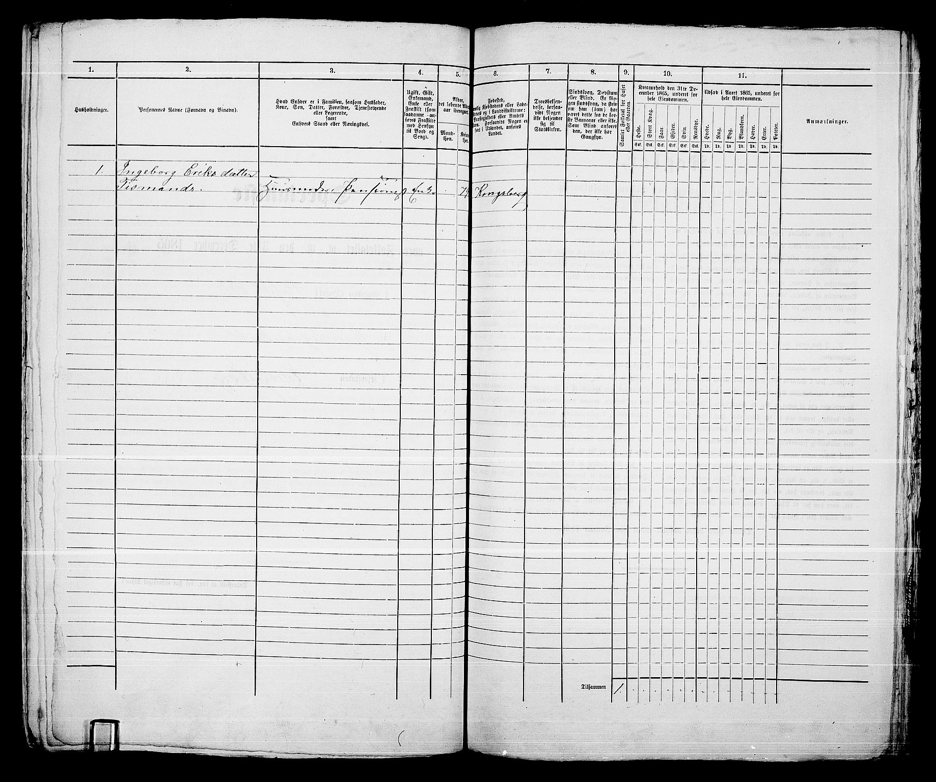 RA, 1865 census for Kongsberg/Kongsberg, 1865, p. 1311