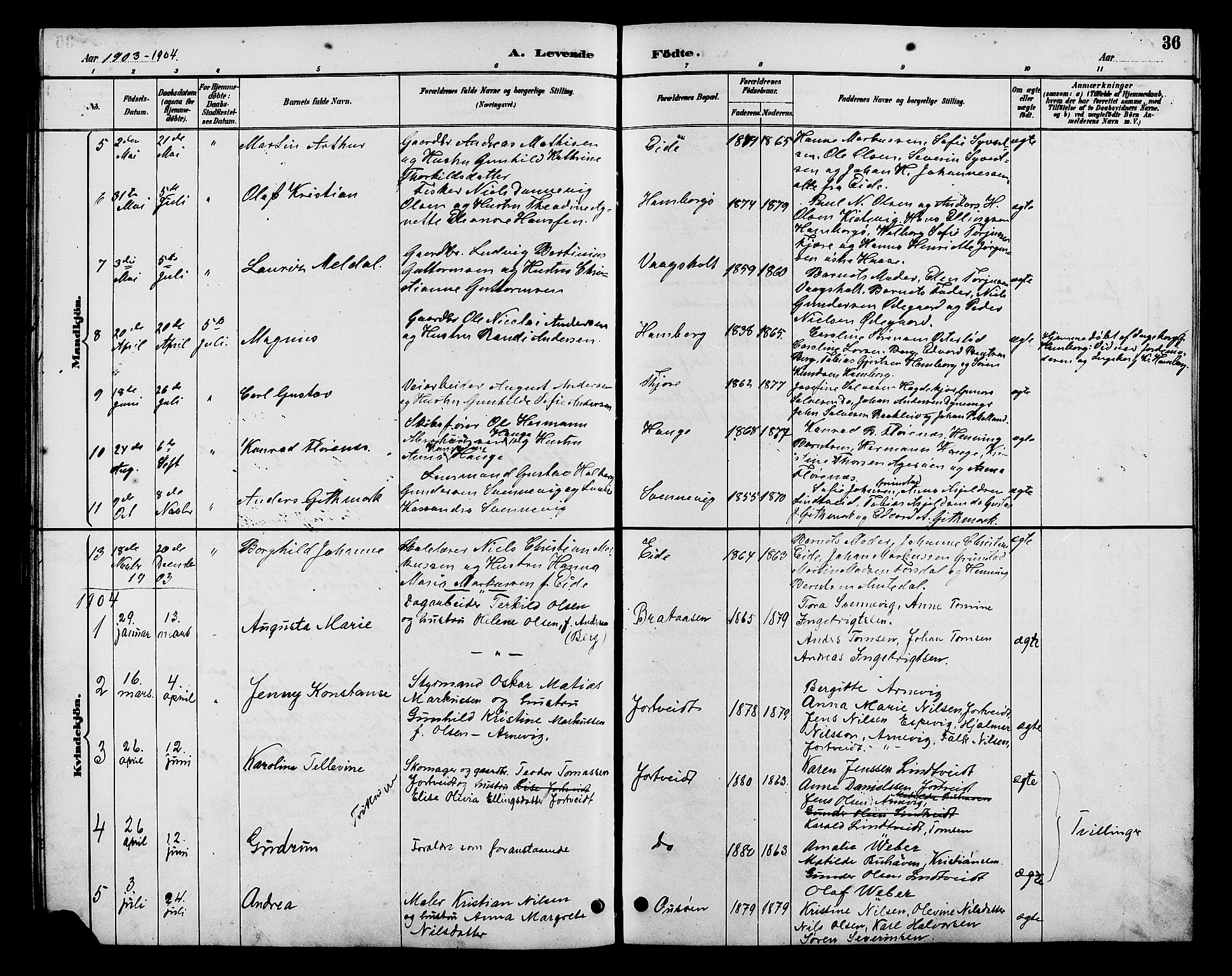 Hommedal sokneprestkontor, SAK/1111-0023/F/Fb/Fba/L0004: Parish register (copy) no. B 4, 1885-1908, p. 36