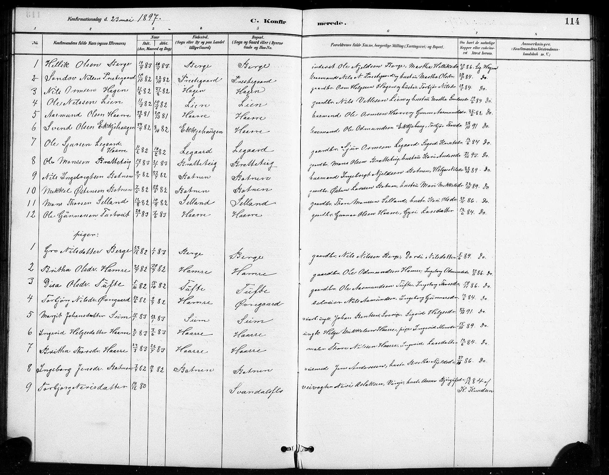 Røldal sokneprestembete, SAB/A-100247: Parish register (copy) no. A 3, 1887-1917, p. 114