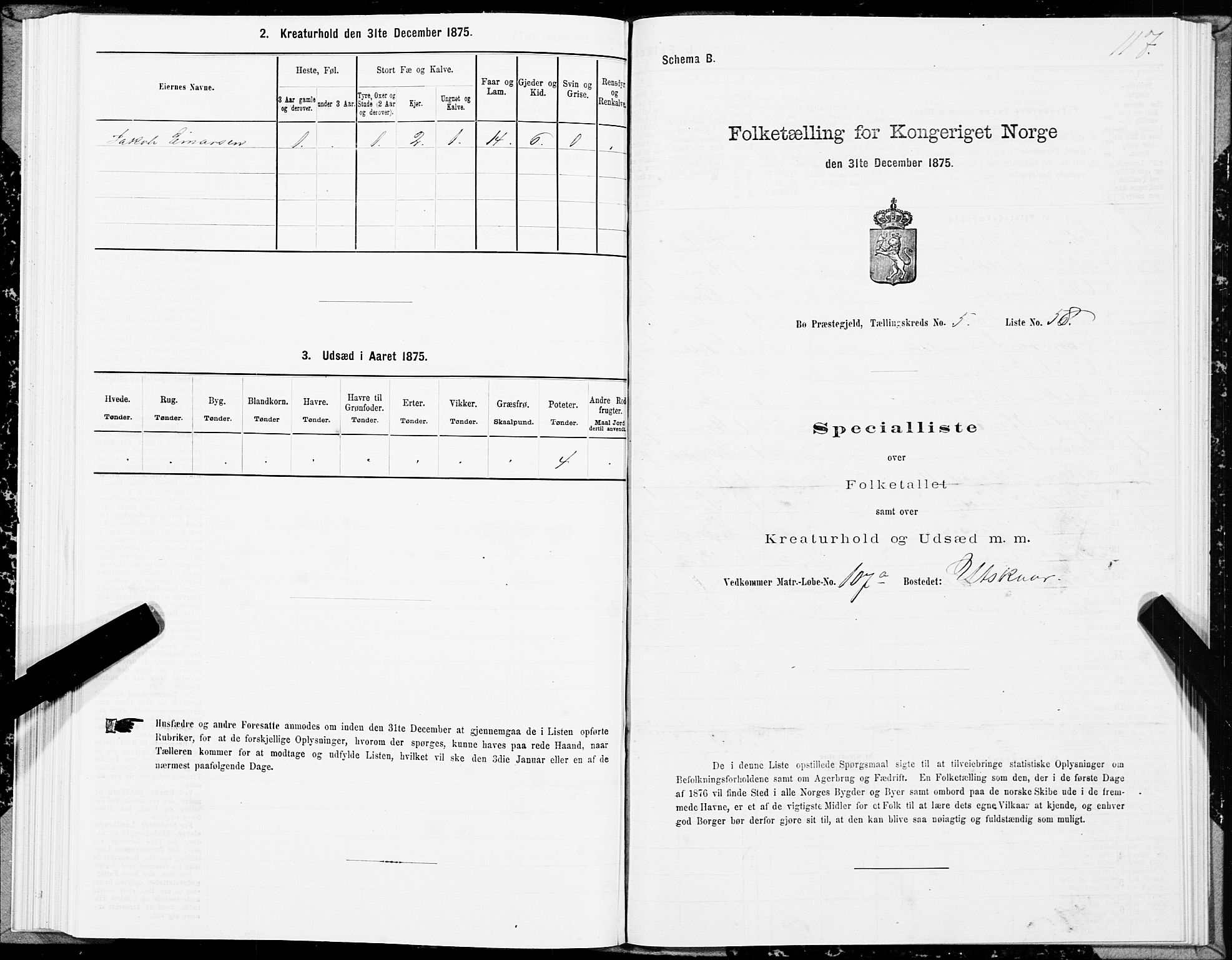 SAT, 1875 census for 1867P Bø, 1875, p. 3117