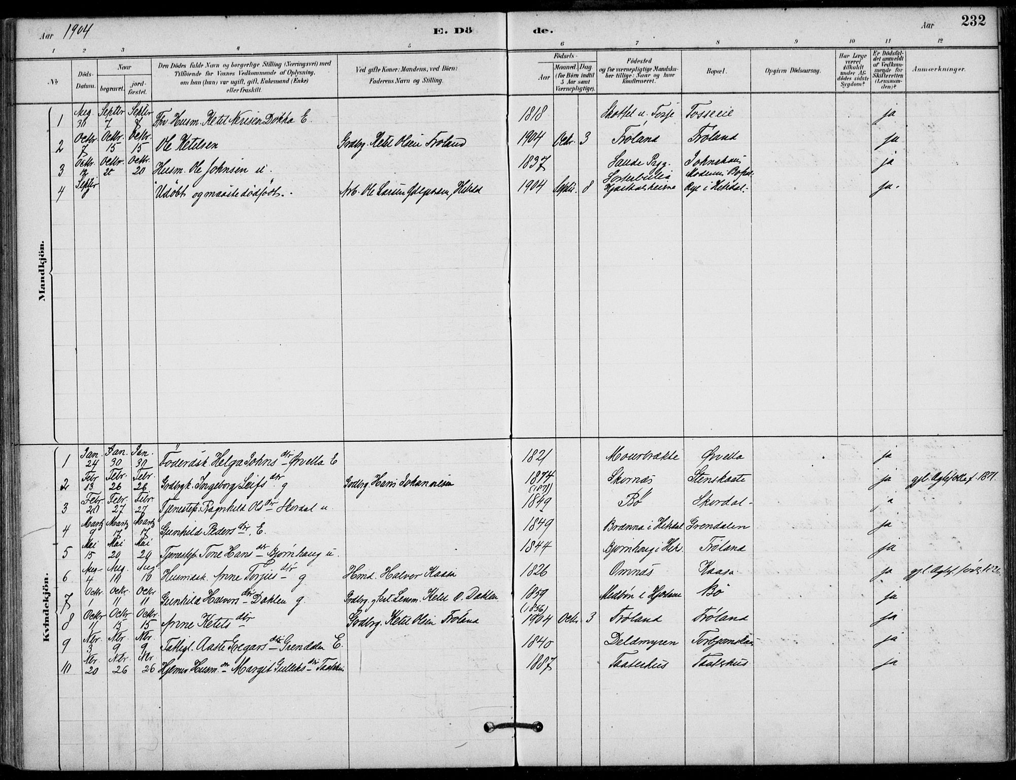 Hjartdal kirkebøker, SAKO/A-270/F/Fb/L0002: Parish register (official) no. II 2, 1880-1932, p. 232