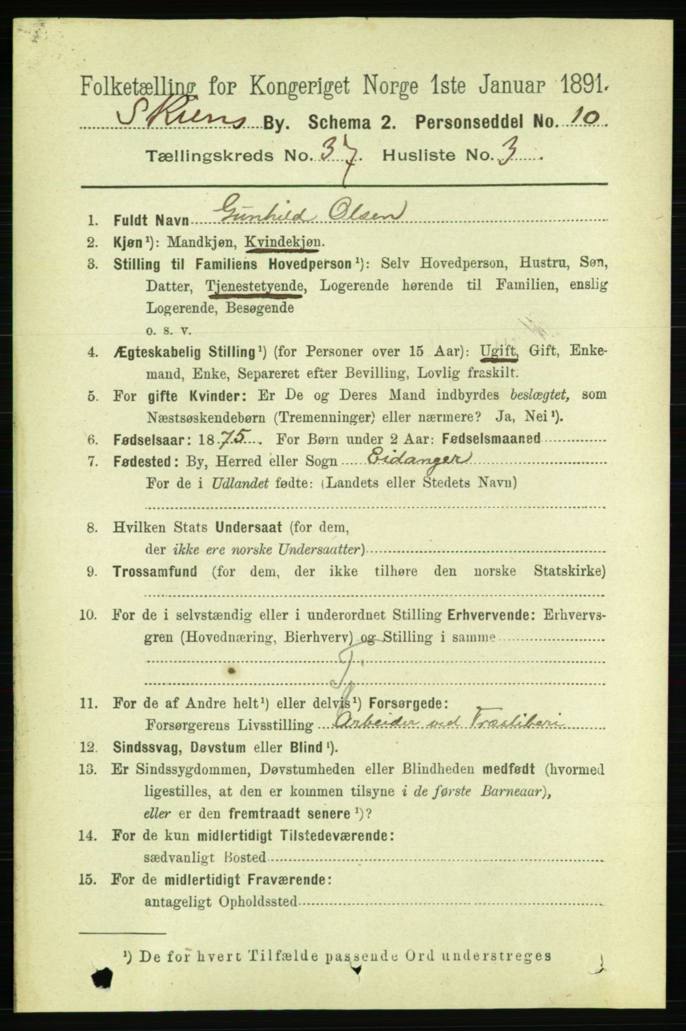 RA, 1891 census for 0806 Skien, 1891, p. 8104