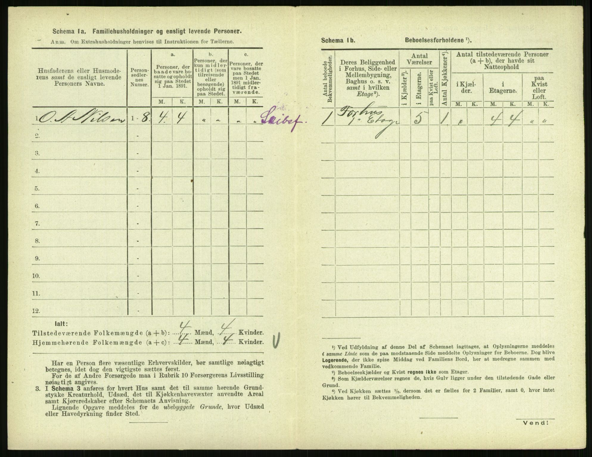 RA, 1891 census for 0707 Larvik, 1891, p. 1566