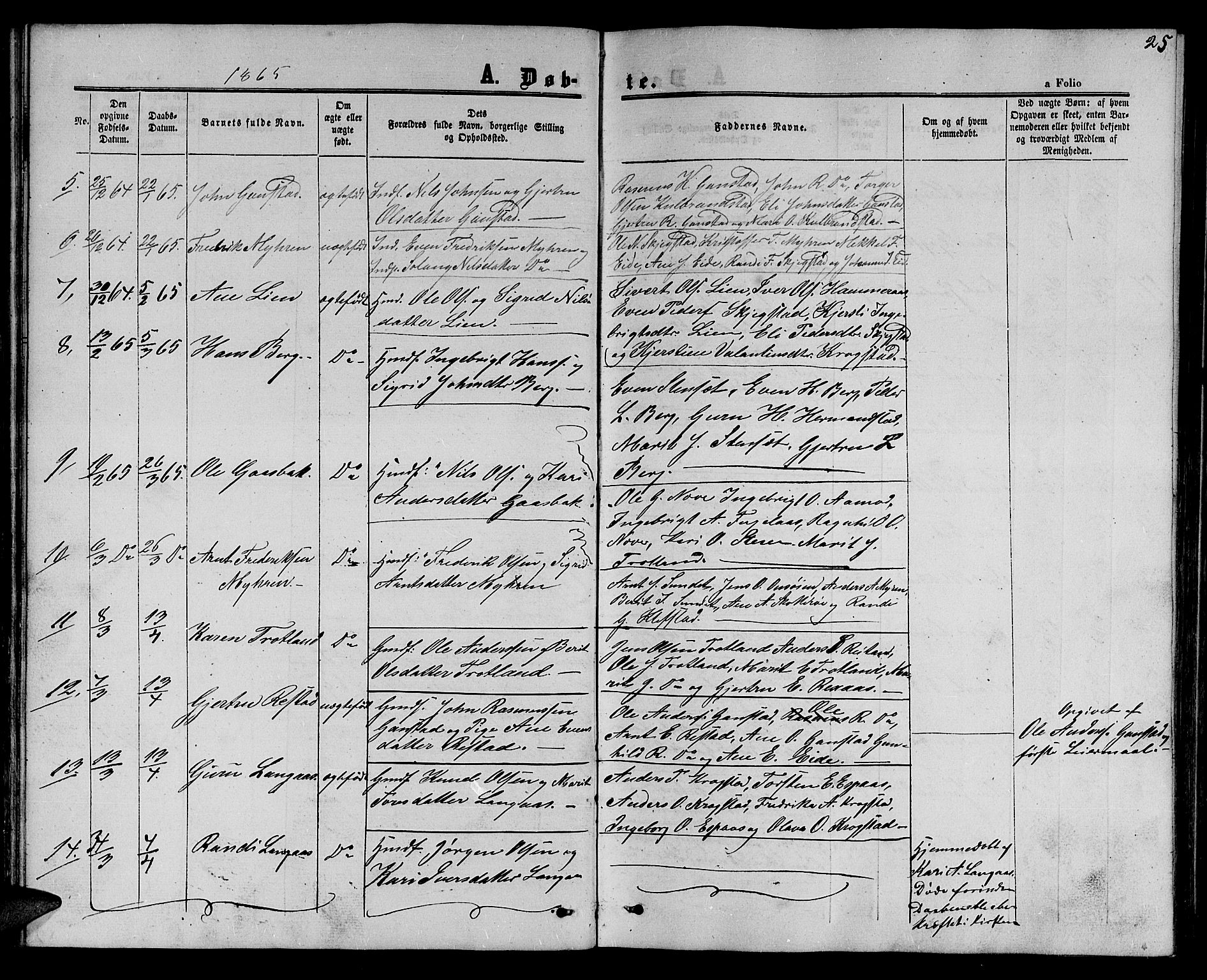 Ministerialprotokoller, klokkerbøker og fødselsregistre - Sør-Trøndelag, AV/SAT-A-1456/694/L1131: Parish register (copy) no. 694C03, 1858-1886, p. 25