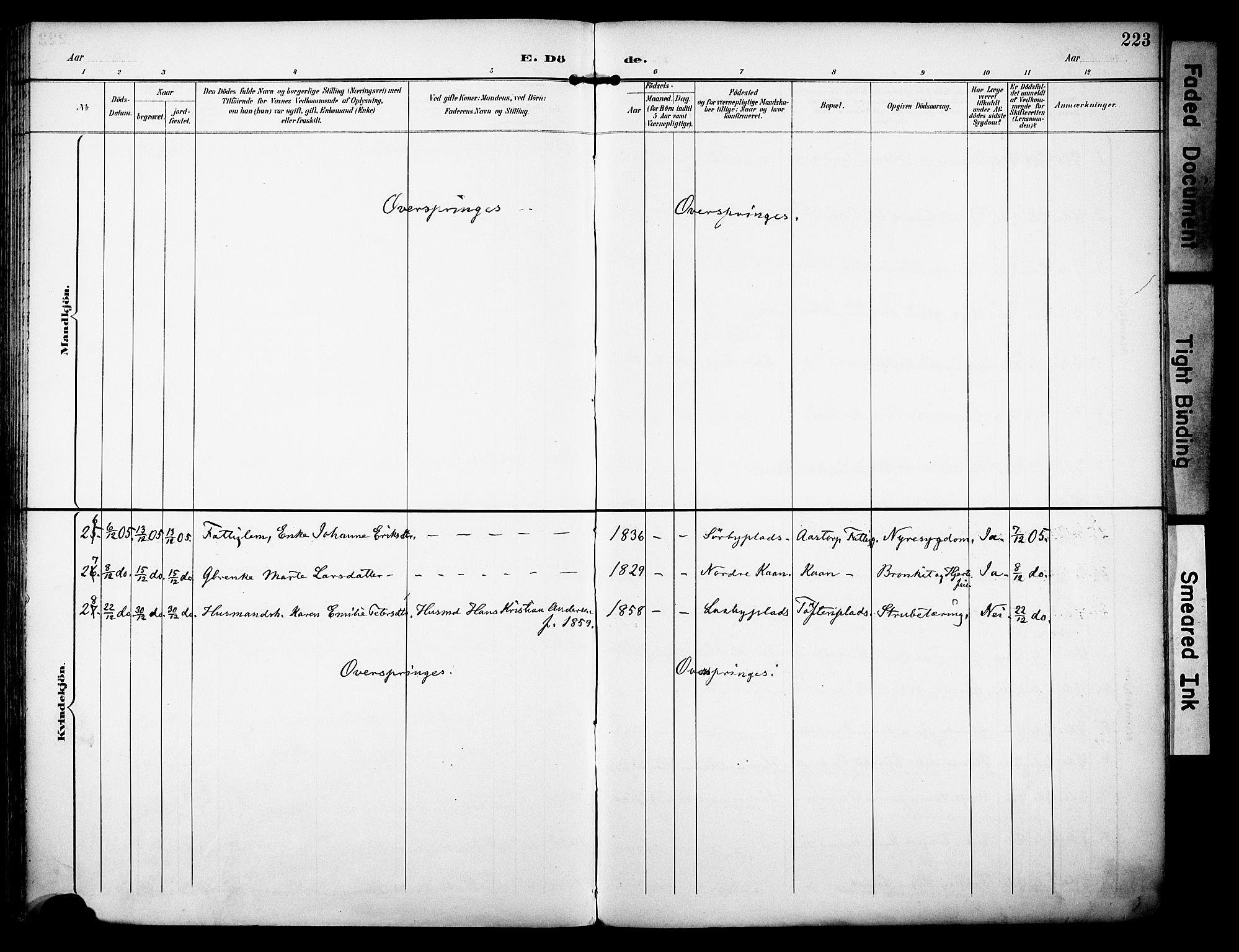 Rakkestad prestekontor Kirkebøker, AV/SAO-A-2008/F/Fa/L0013: Parish register (official) no. I 13, 1894-1908, p. 223