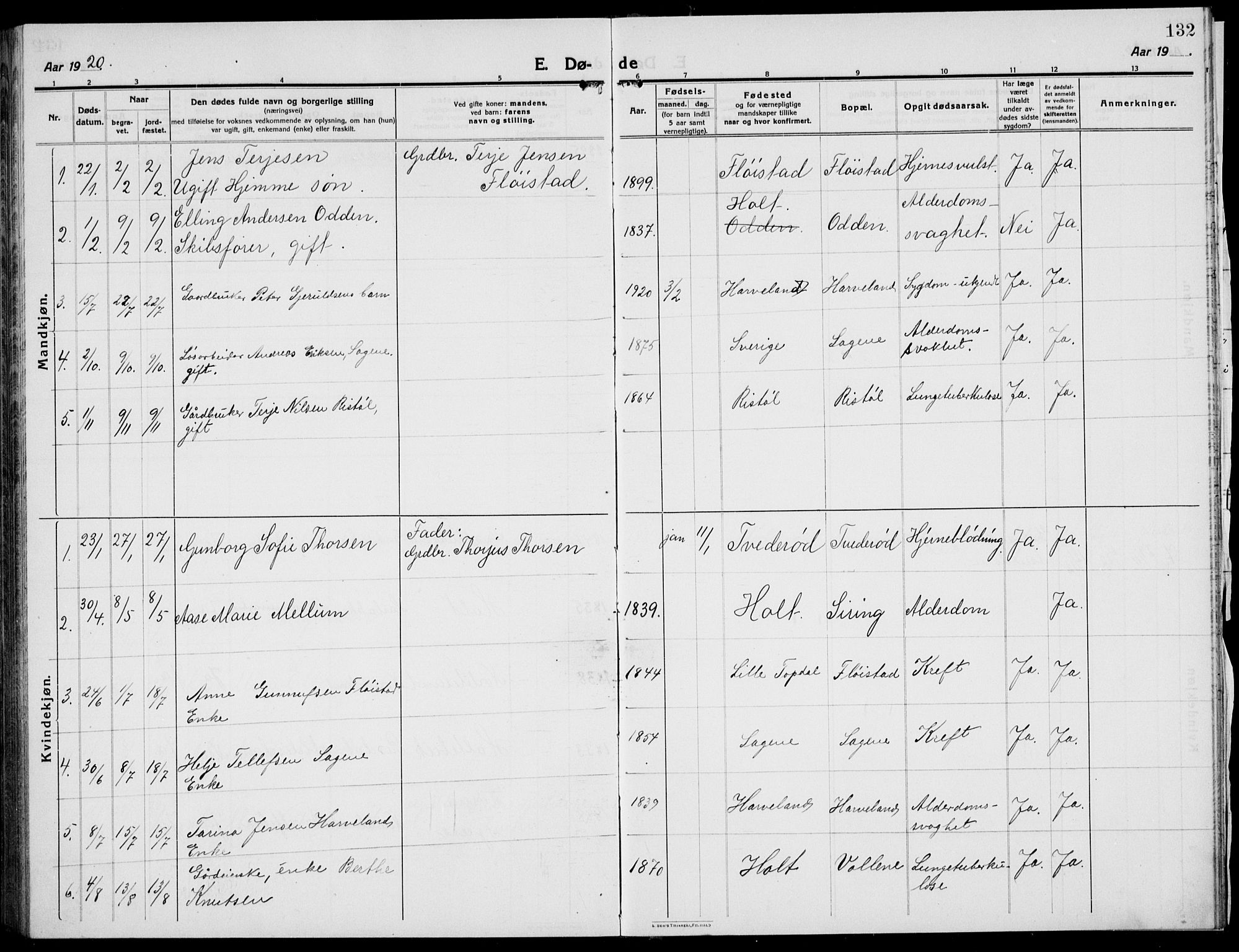 Austre Moland sokneprestkontor, SAK/1111-0001/F/Fb/Fba/L0005: Parish register (copy) no. B 4b, 1914-1935, p. 132