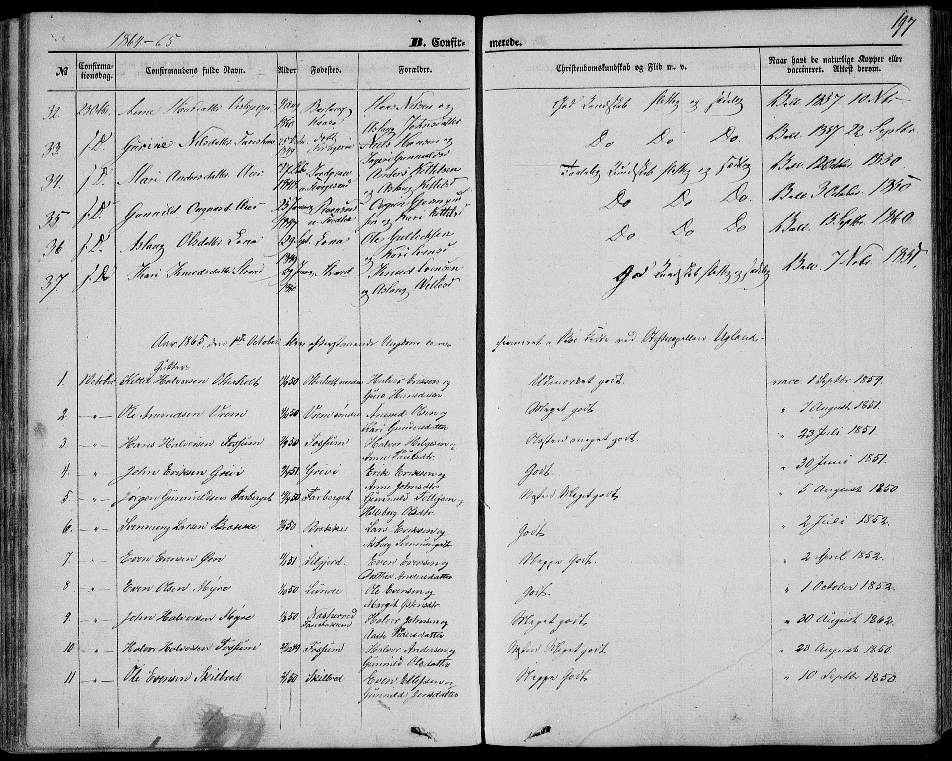 Bø kirkebøker, SAKO/A-257/F/Fa/L0009: Parish register (official) no. 9, 1862-1879, p. 197