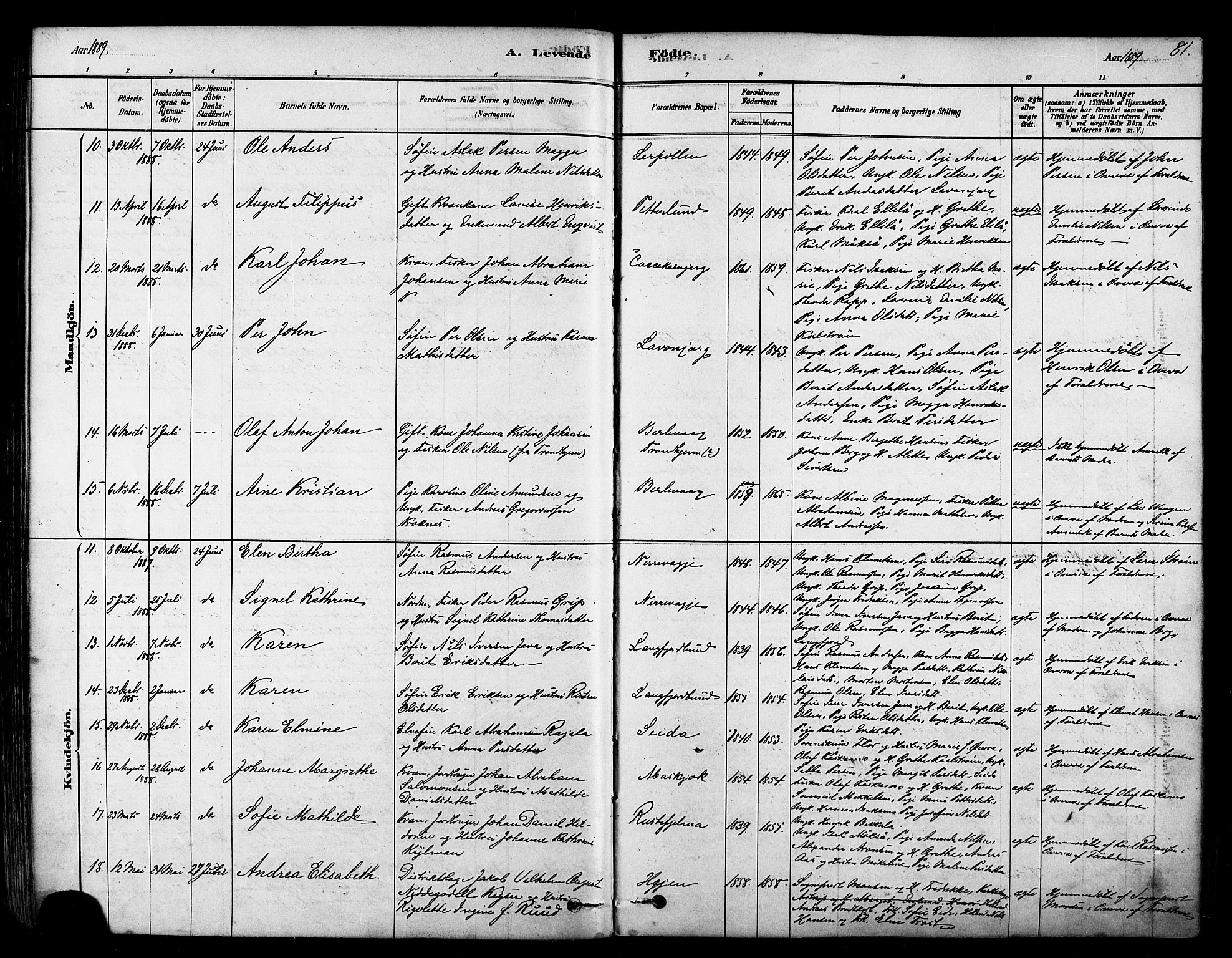 Tana sokneprestkontor, SATØ/S-1334/H/Ha/L0004kirke: Parish register (official) no. 4, 1878-1891, p. 81