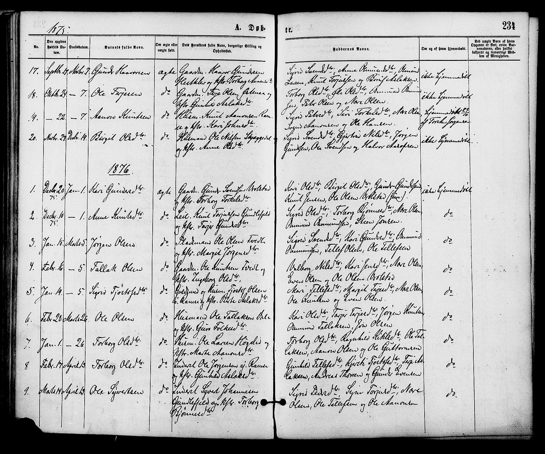 Åmli sokneprestkontor, AV/SAK-1111-0050/F/Fa/Fac/L0009: Parish register (official) no. A 9 /3, 1869-1884, p. 234