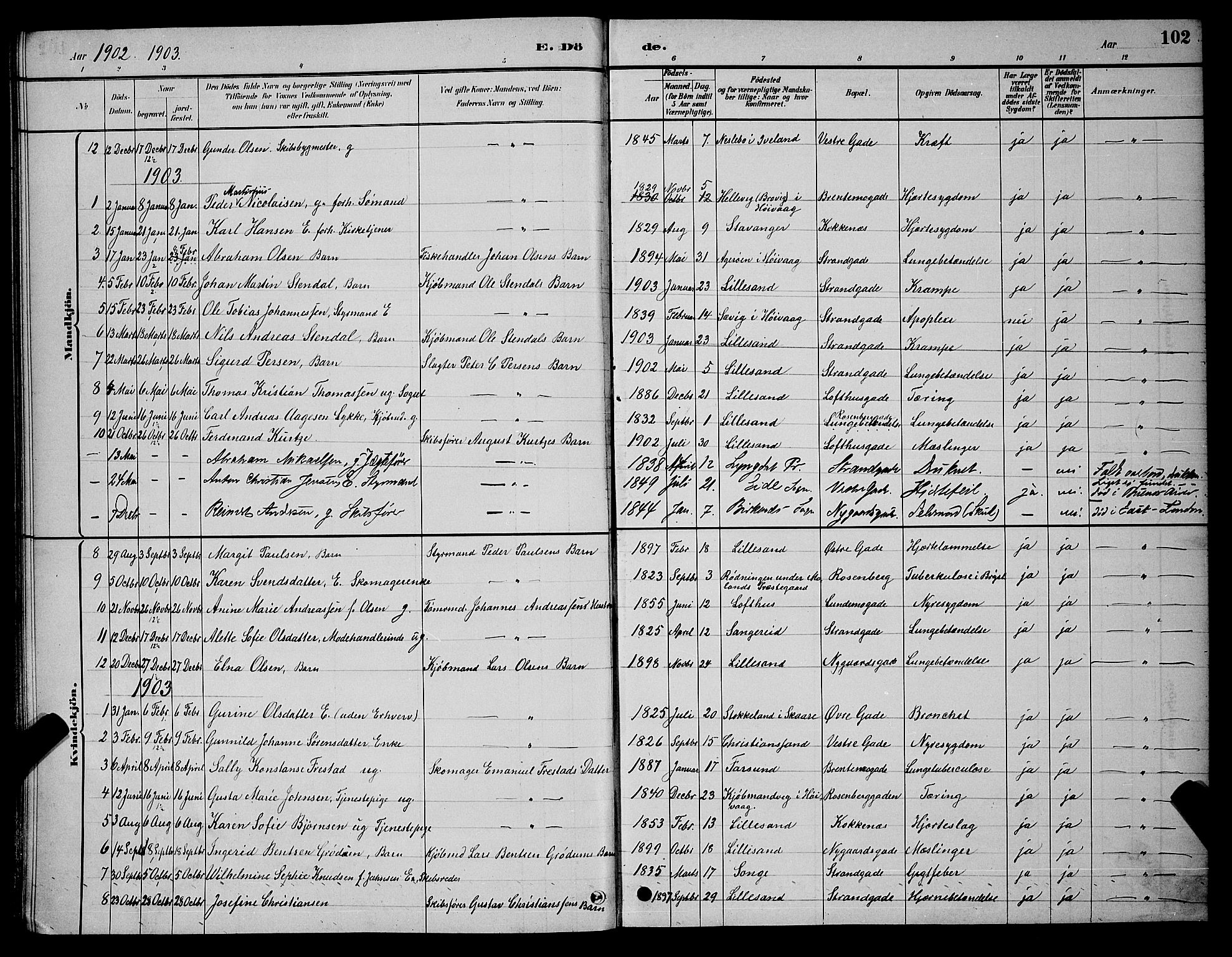 Vestre Moland sokneprestkontor, AV/SAK-1111-0046/F/Fb/Fba/L0001: Parish register (copy) no. B 1, 1884-1903, p. 102