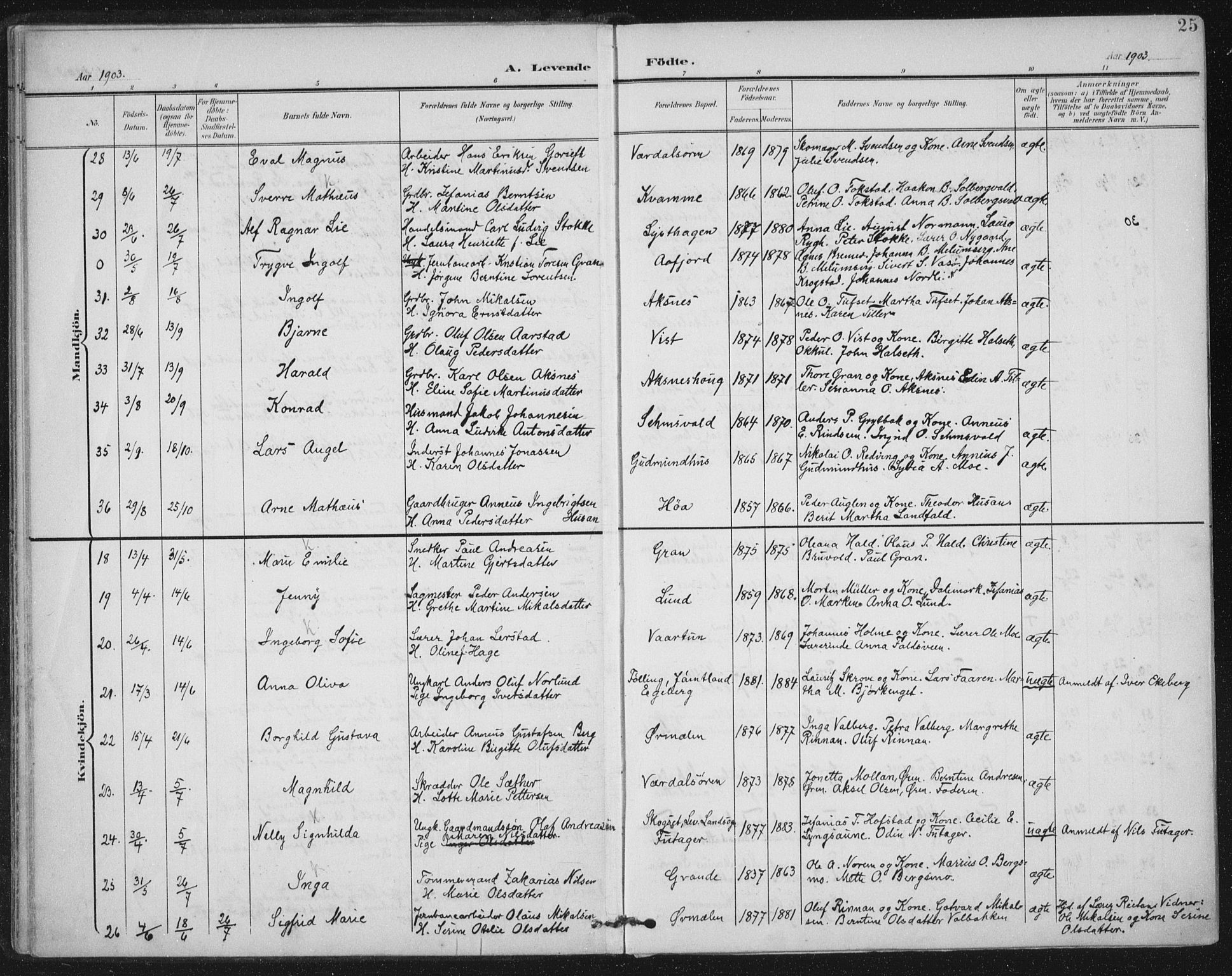 Ministerialprotokoller, klokkerbøker og fødselsregistre - Nord-Trøndelag, SAT/A-1458/723/L0246: Parish register (official) no. 723A15, 1900-1917, p. 25