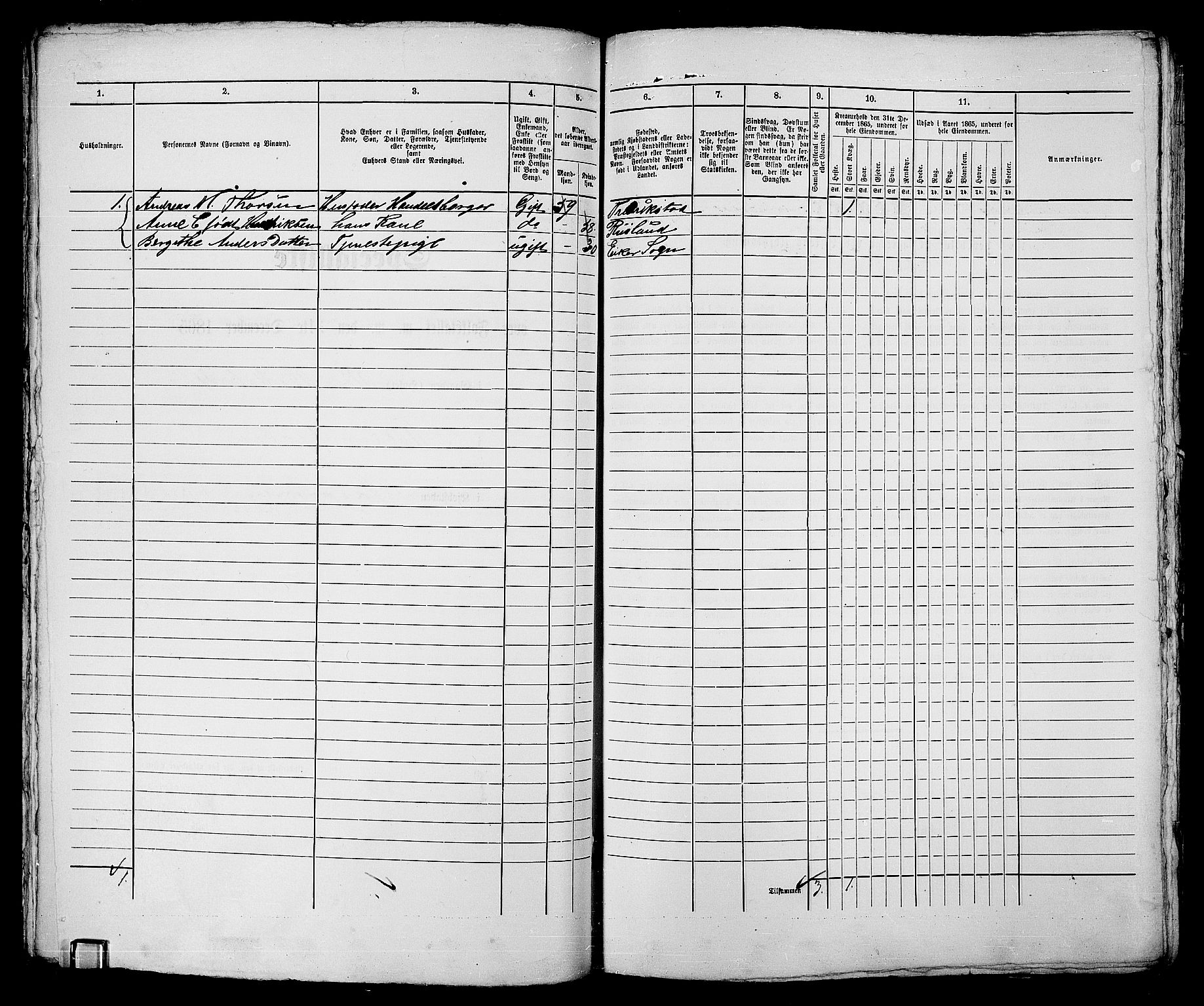 RA, 1865 census for Sarpsborg, 1865, p. 215