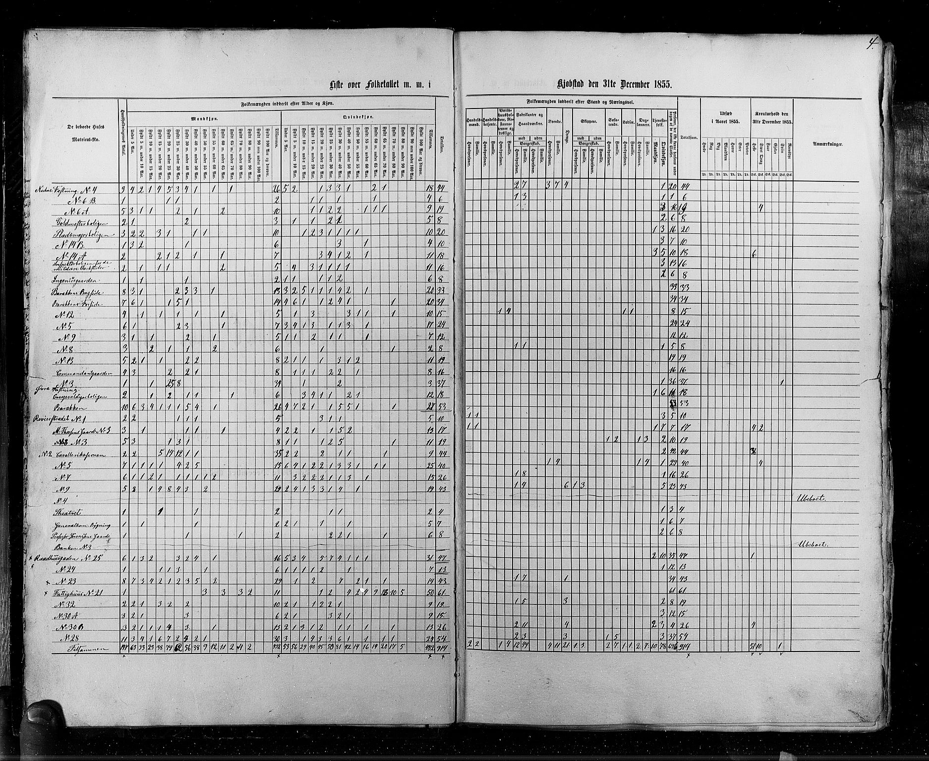 RA, Census 1855, vol. 7: Fredrikshald-Kragerø, 1855, p. 4