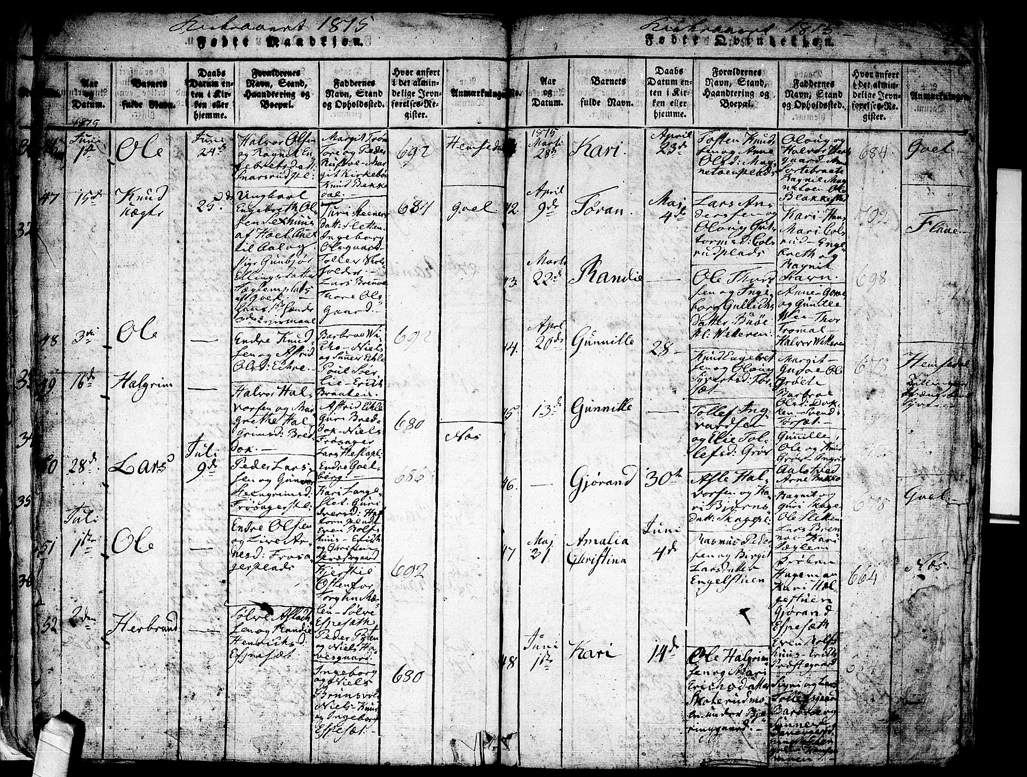 Nes kirkebøker, AV/SAKO-A-236/F/Fa/L0007: Parish register (official) no. 7, 1815-1823, p. 18-19