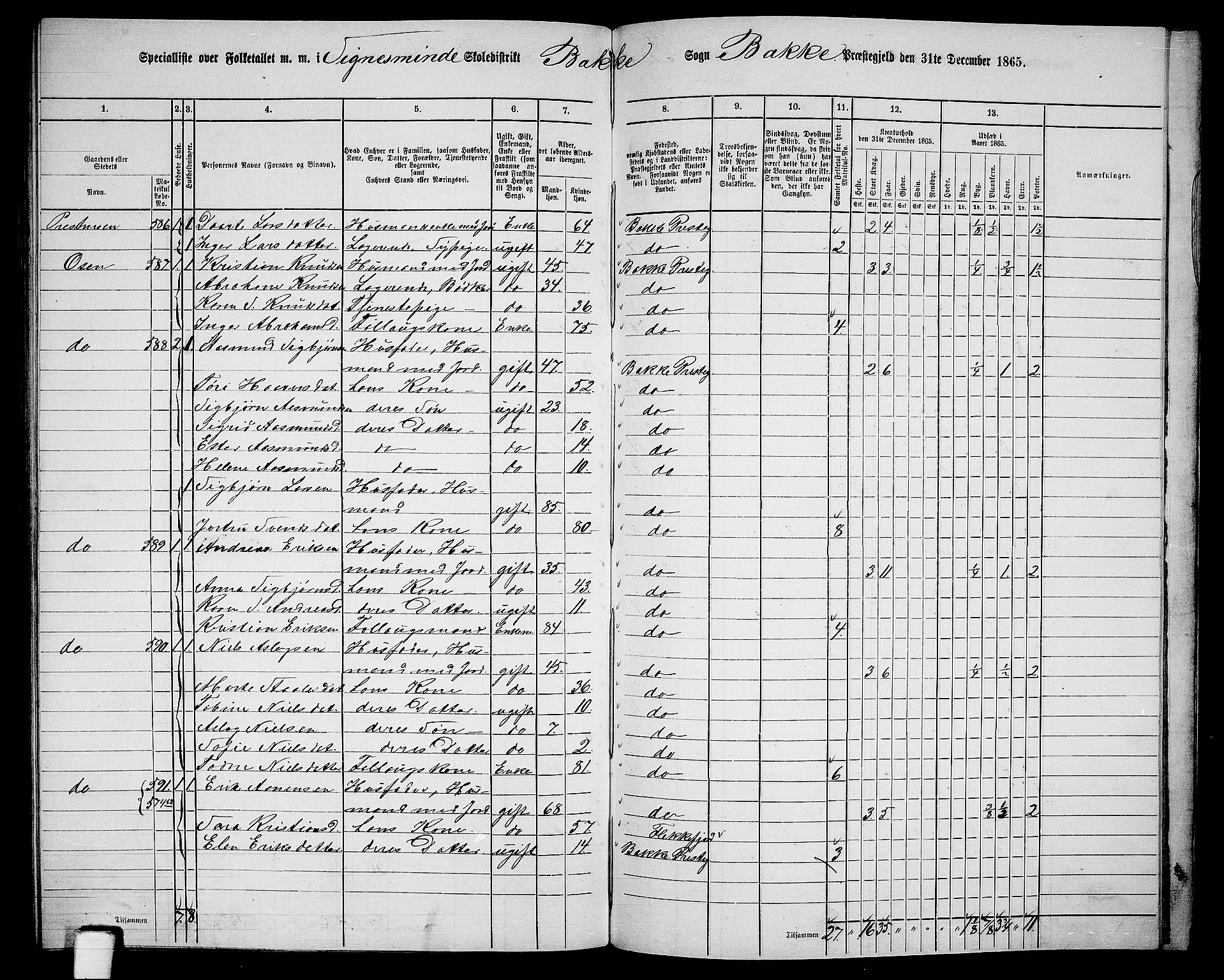 RA, 1865 census for Bakke, 1865, p. 110