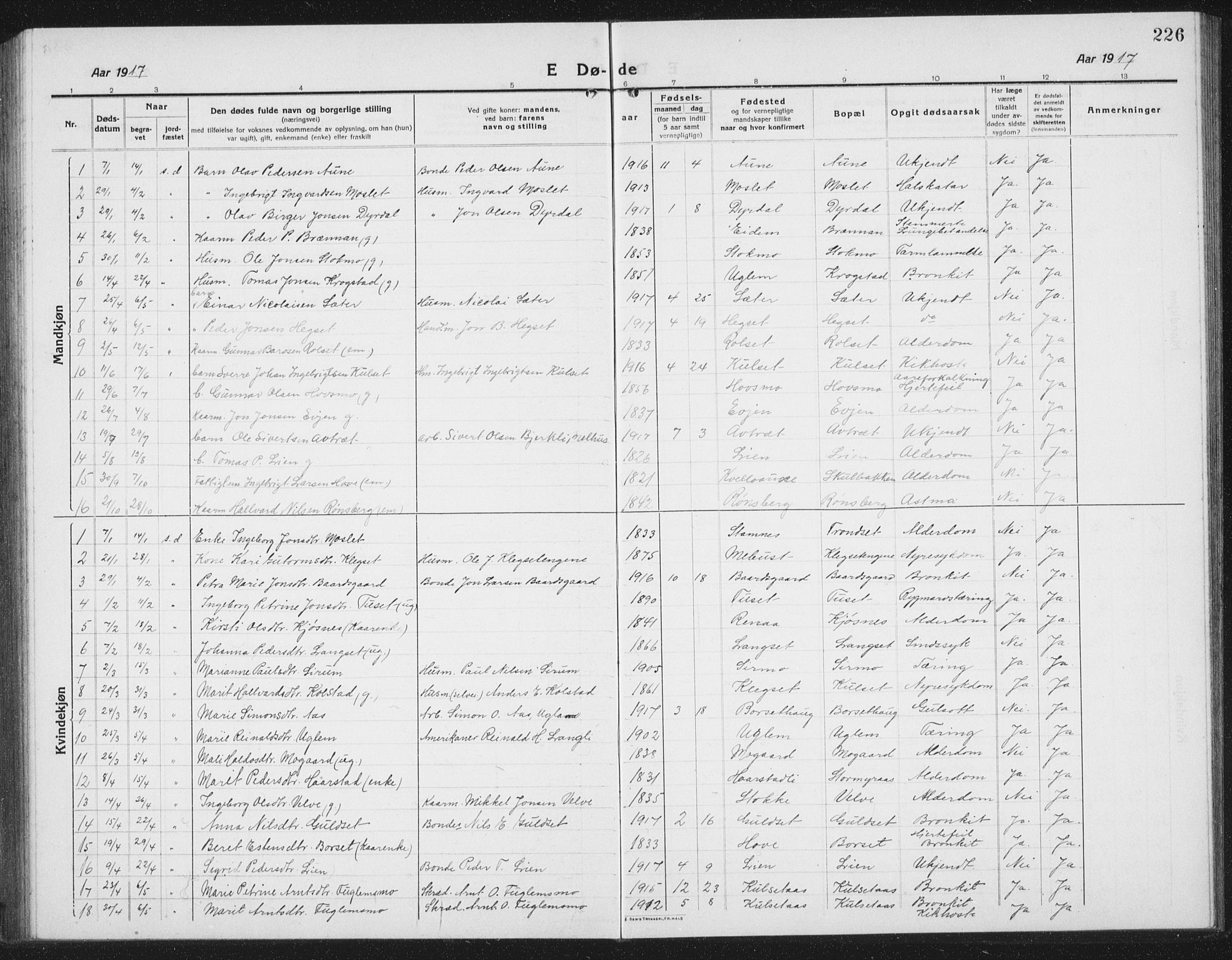 Ministerialprotokoller, klokkerbøker og fødselsregistre - Sør-Trøndelag, SAT/A-1456/695/L1158: Parish register (copy) no. 695C09, 1913-1940, p. 226