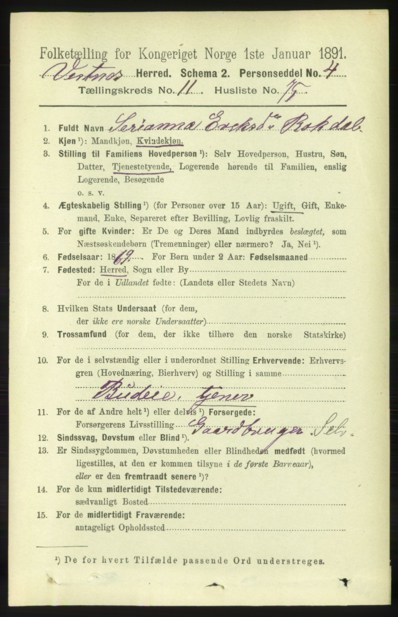 RA, 1891 census for 1535 Vestnes, 1891, p. 4366