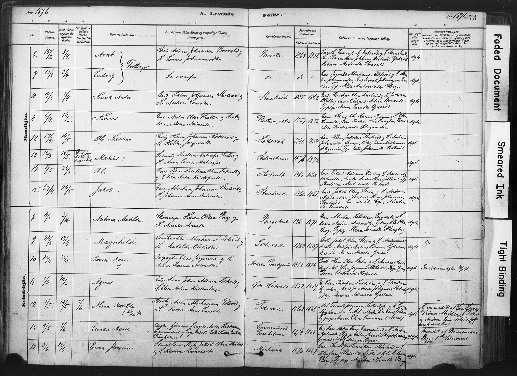 Andebu kirkebøker, AV/SAKO-A-336/F/Fa/L0007: Parish register (official) no. 7, 1878-1899, p. 73