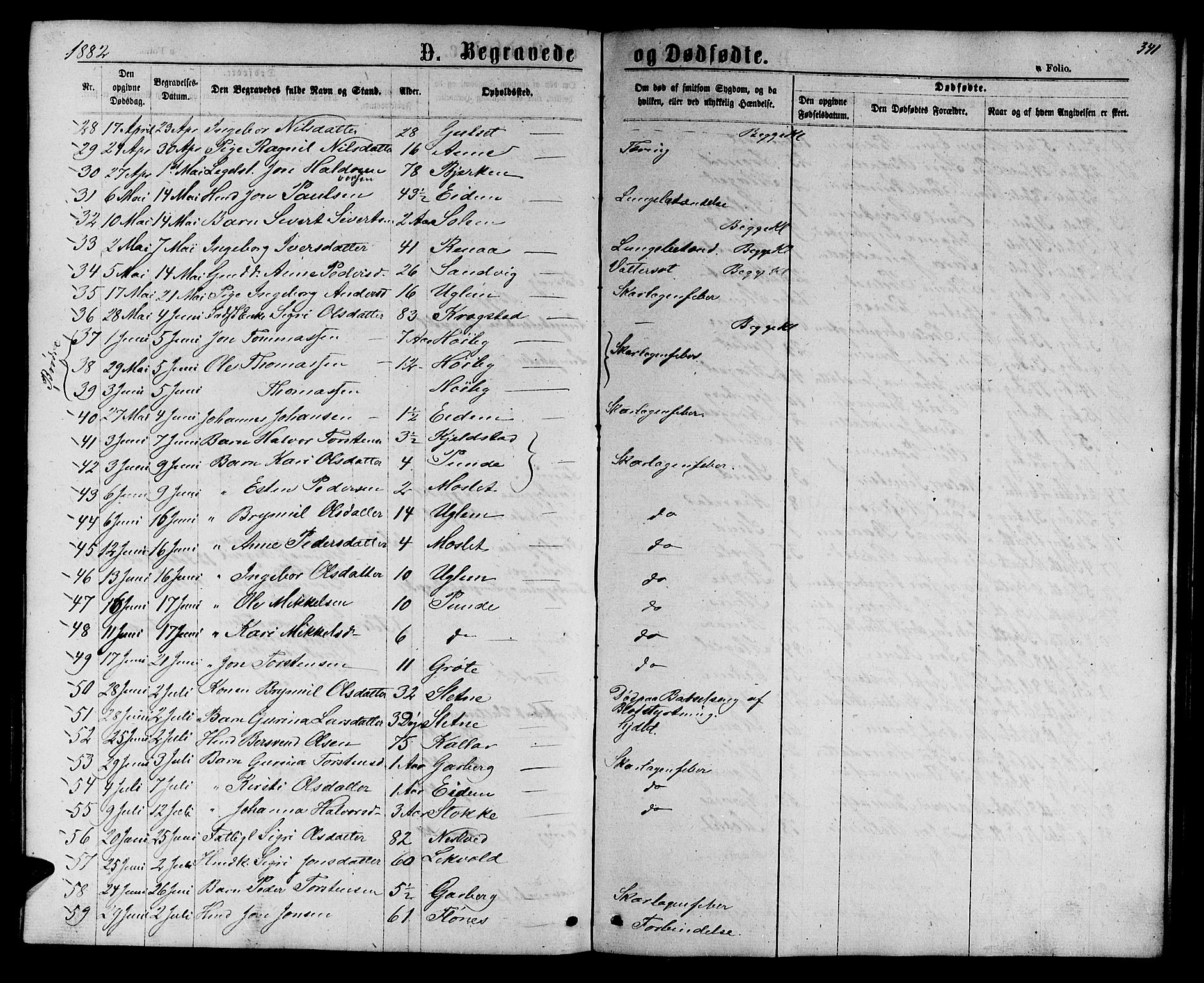 Ministerialprotokoller, klokkerbøker og fødselsregistre - Sør-Trøndelag, SAT/A-1456/695/L1156: Parish register (copy) no. 695C07, 1869-1888, p. 341