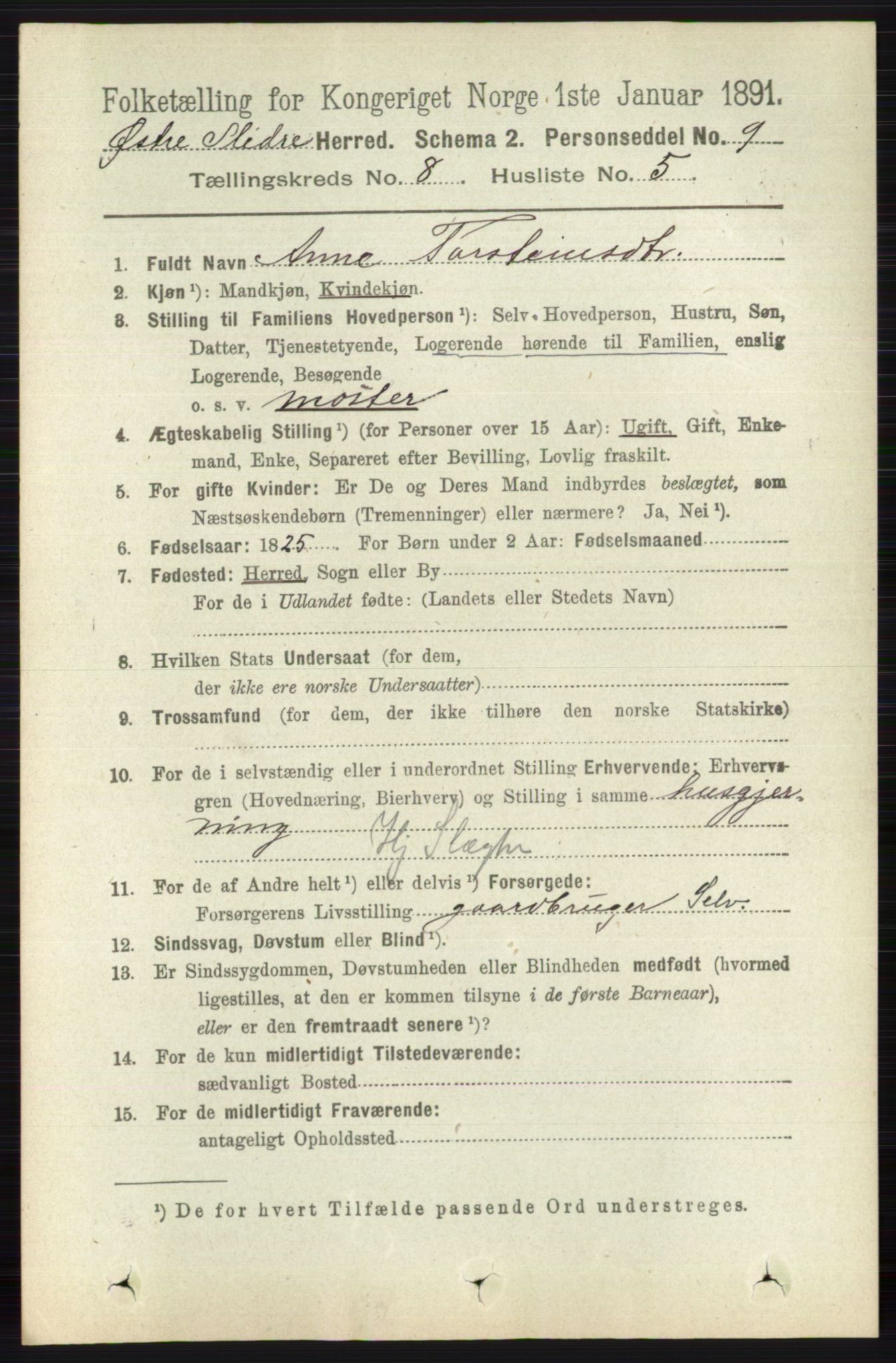 RA, 1891 census for 0544 Øystre Slidre, 1891, p. 2584