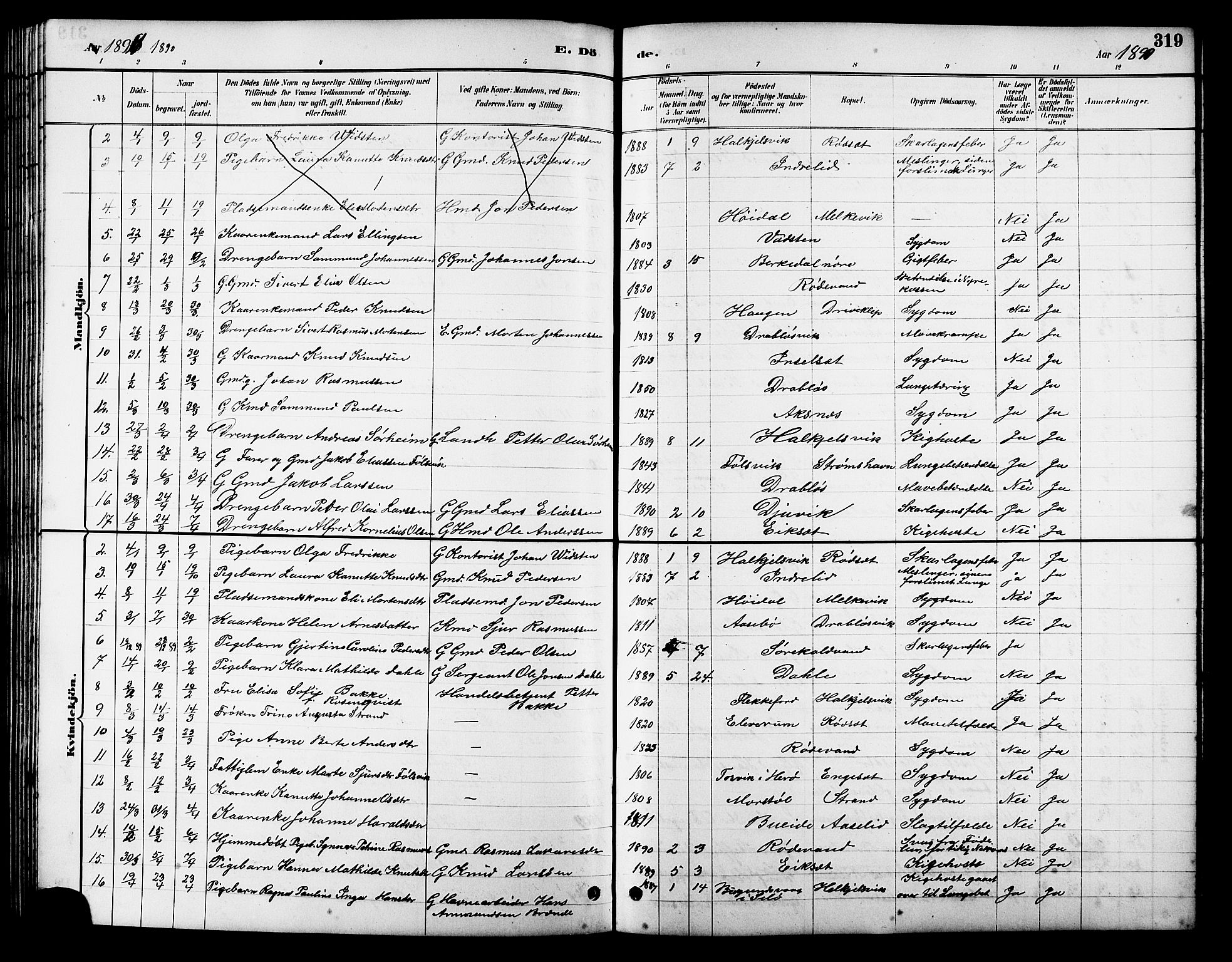 Ministerialprotokoller, klokkerbøker og fødselsregistre - Møre og Romsdal, AV/SAT-A-1454/511/L0158: Parish register (copy) no. 511C04, 1884-1903, p. 319