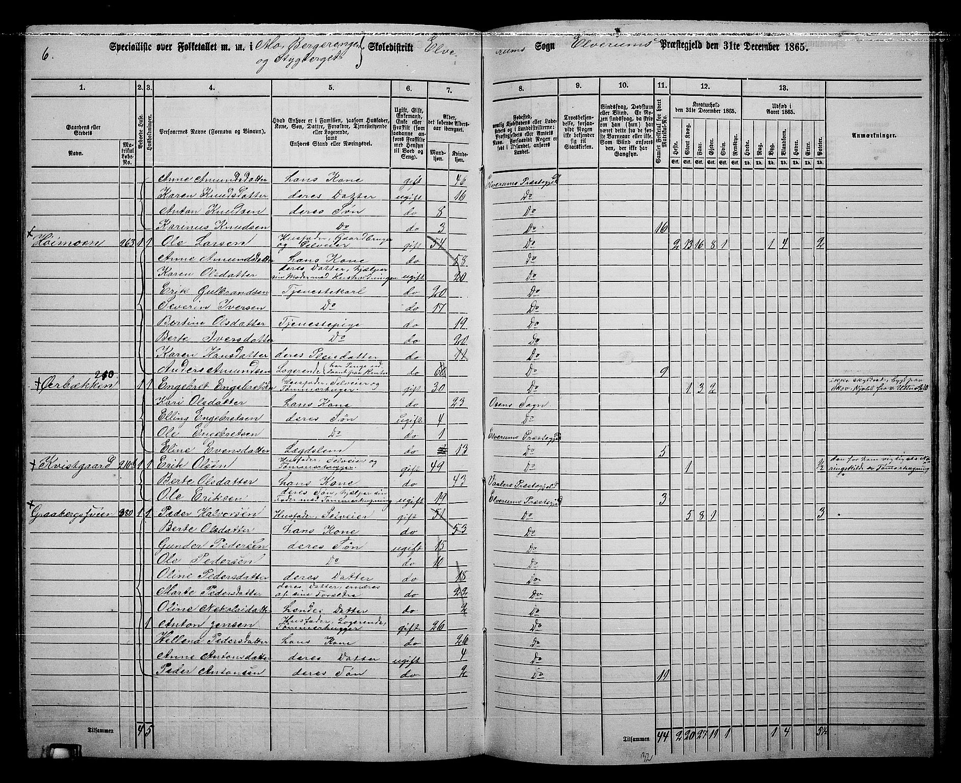 RA, 1865 census for Elverum, 1865, p. 211