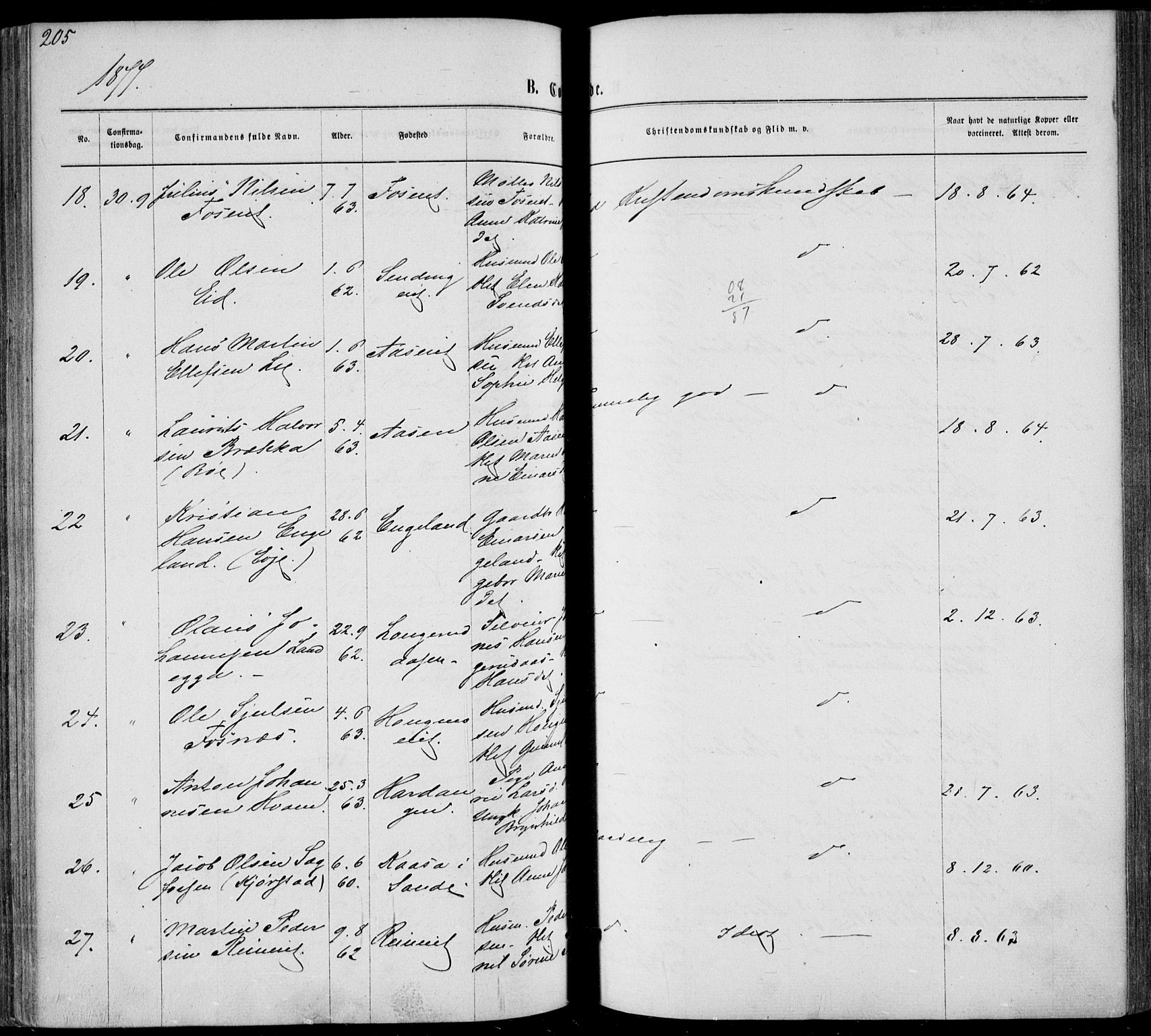 Sandsvær kirkebøker, AV/SAKO-A-244/F/Fa/L0007: Parish register (official) no. I 7, 1869-1877, p. 205