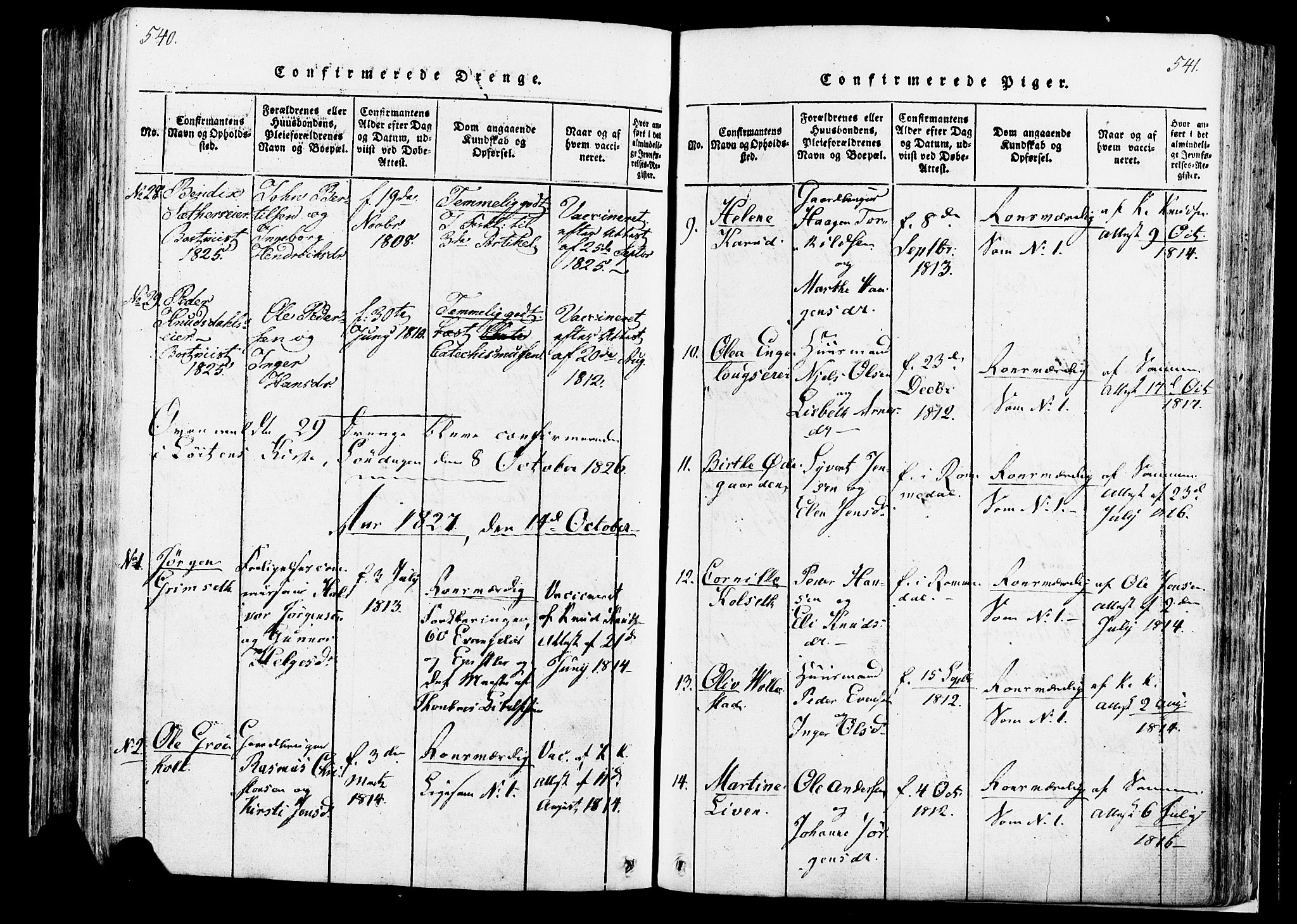 Løten prestekontor, SAH/PREST-022/K/Ka/L0005: Parish register (official) no. 5, 1814-1832, p. 540-541