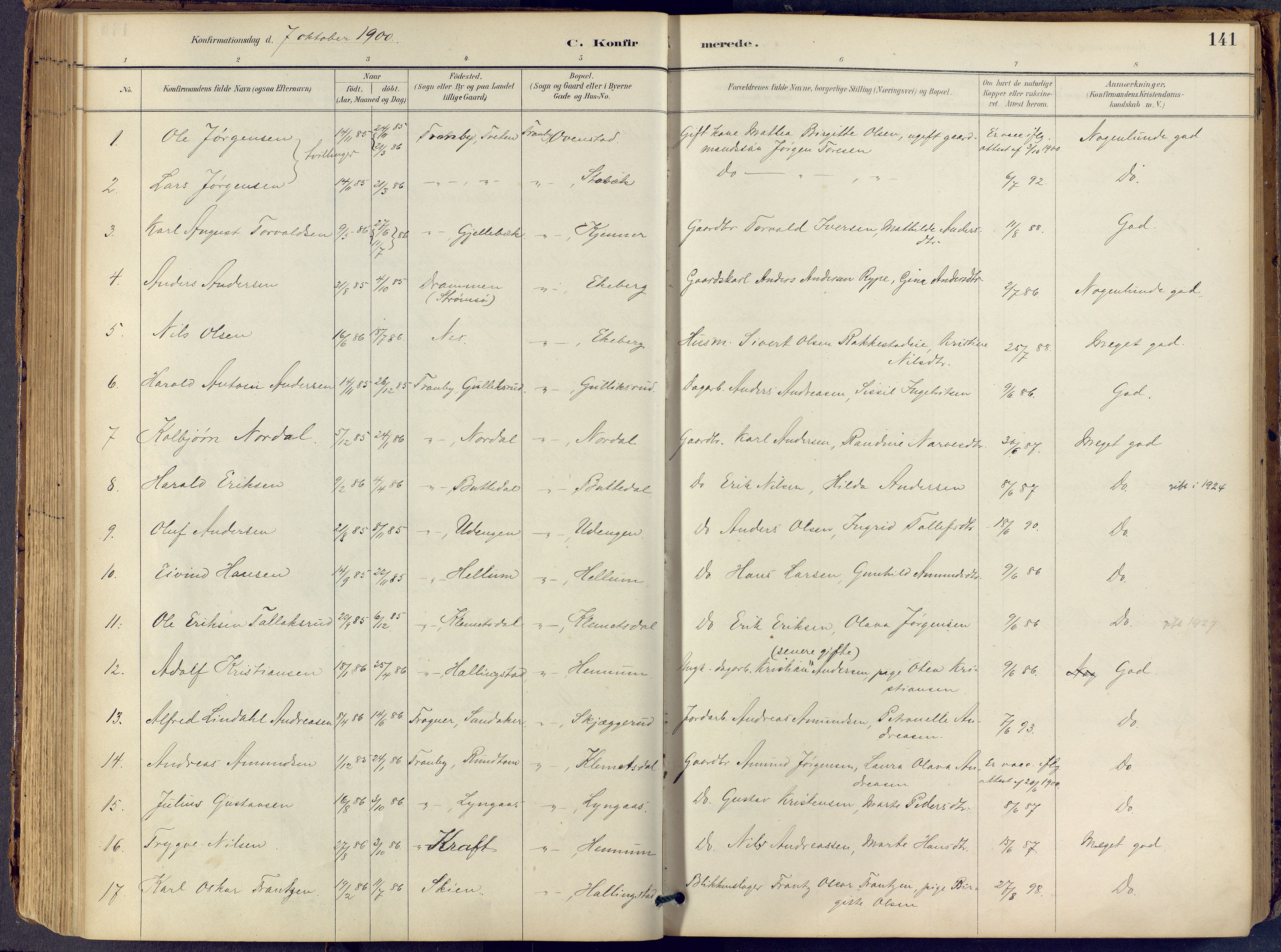 Lier kirkebøker, AV/SAKO-A-230/F/Fb/L0001: Parish register (official) no. II 1, 1883-1910, p. 141