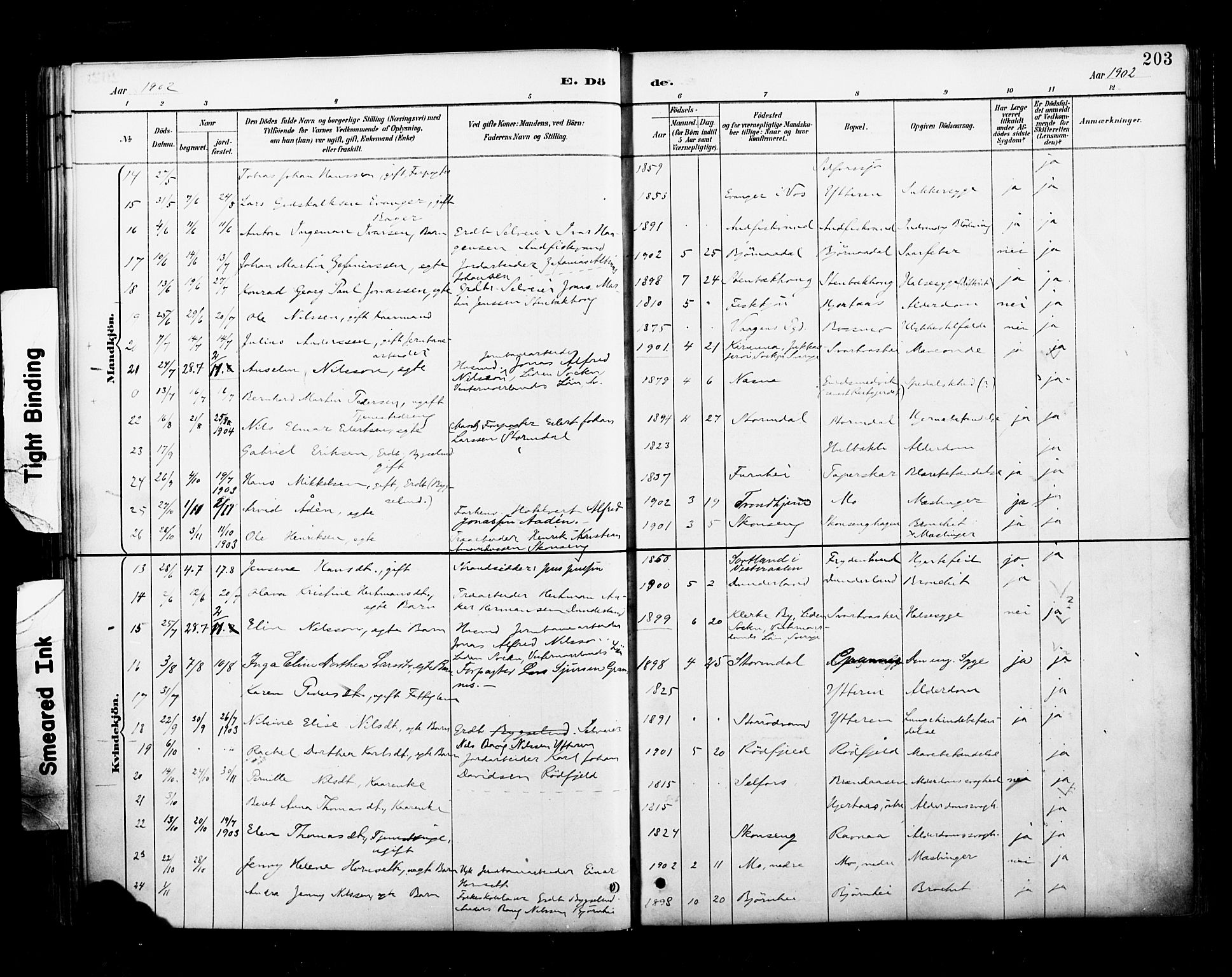 Ministerialprotokoller, klokkerbøker og fødselsregistre - Nordland, AV/SAT-A-1459/827/L0401: Parish register (official) no. 827A13, 1887-1905, p. 203