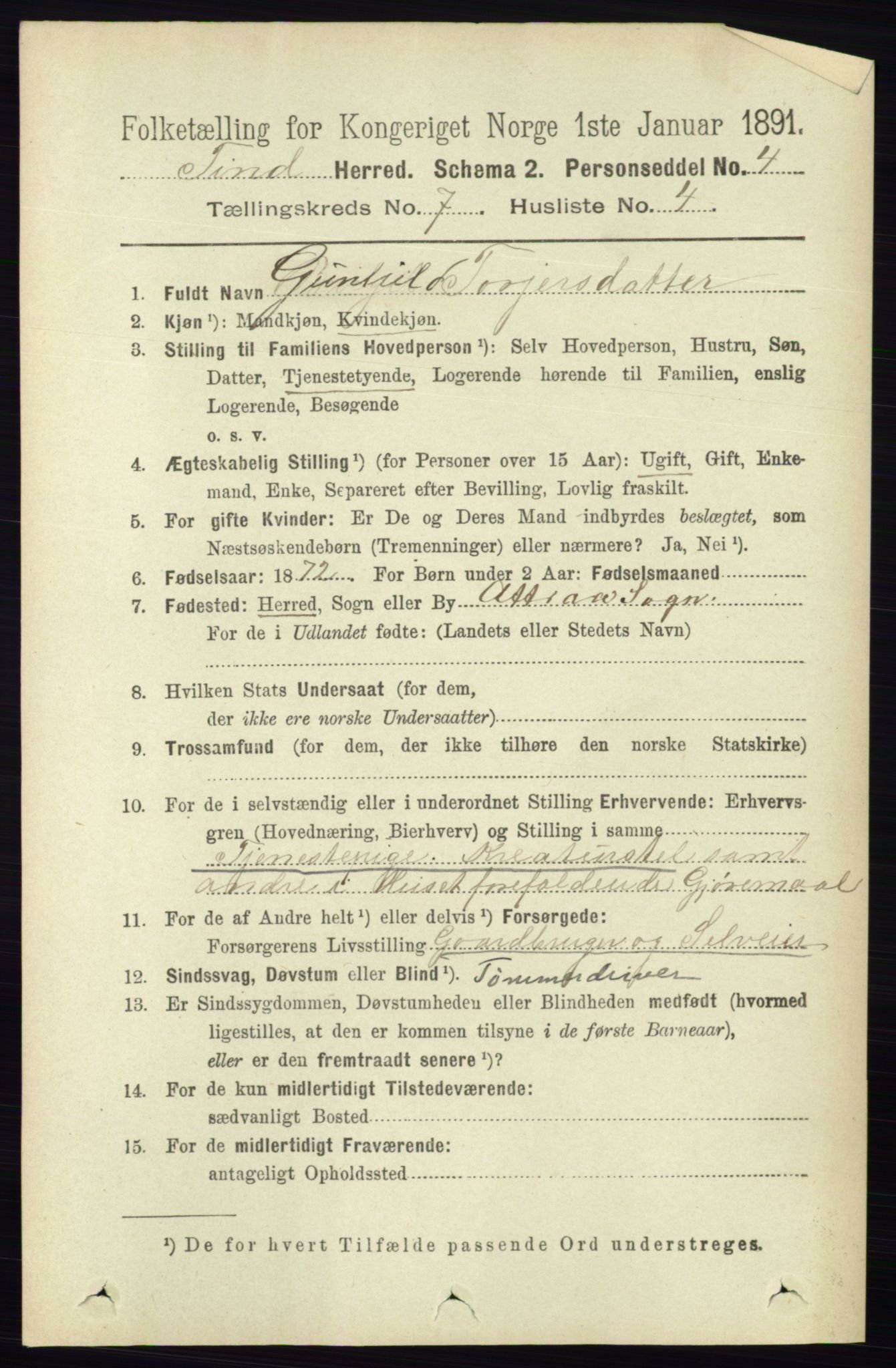 RA, 1891 census for 0826 Tinn, 1891, p. 1454