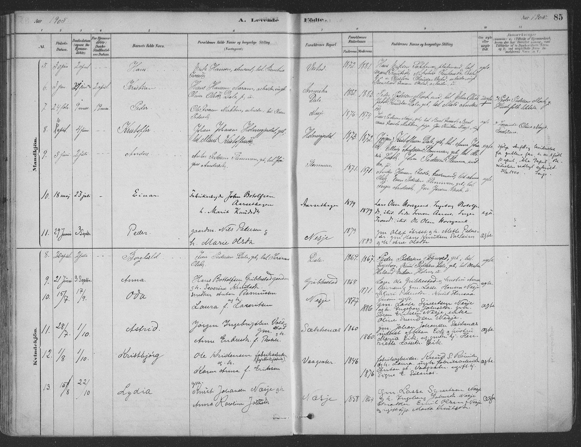 Ministerialprotokoller, klokkerbøker og fødselsregistre - Møre og Romsdal, AV/SAT-A-1454/547/L0604: Parish register (official) no. 547A06, 1878-1906, p. 85