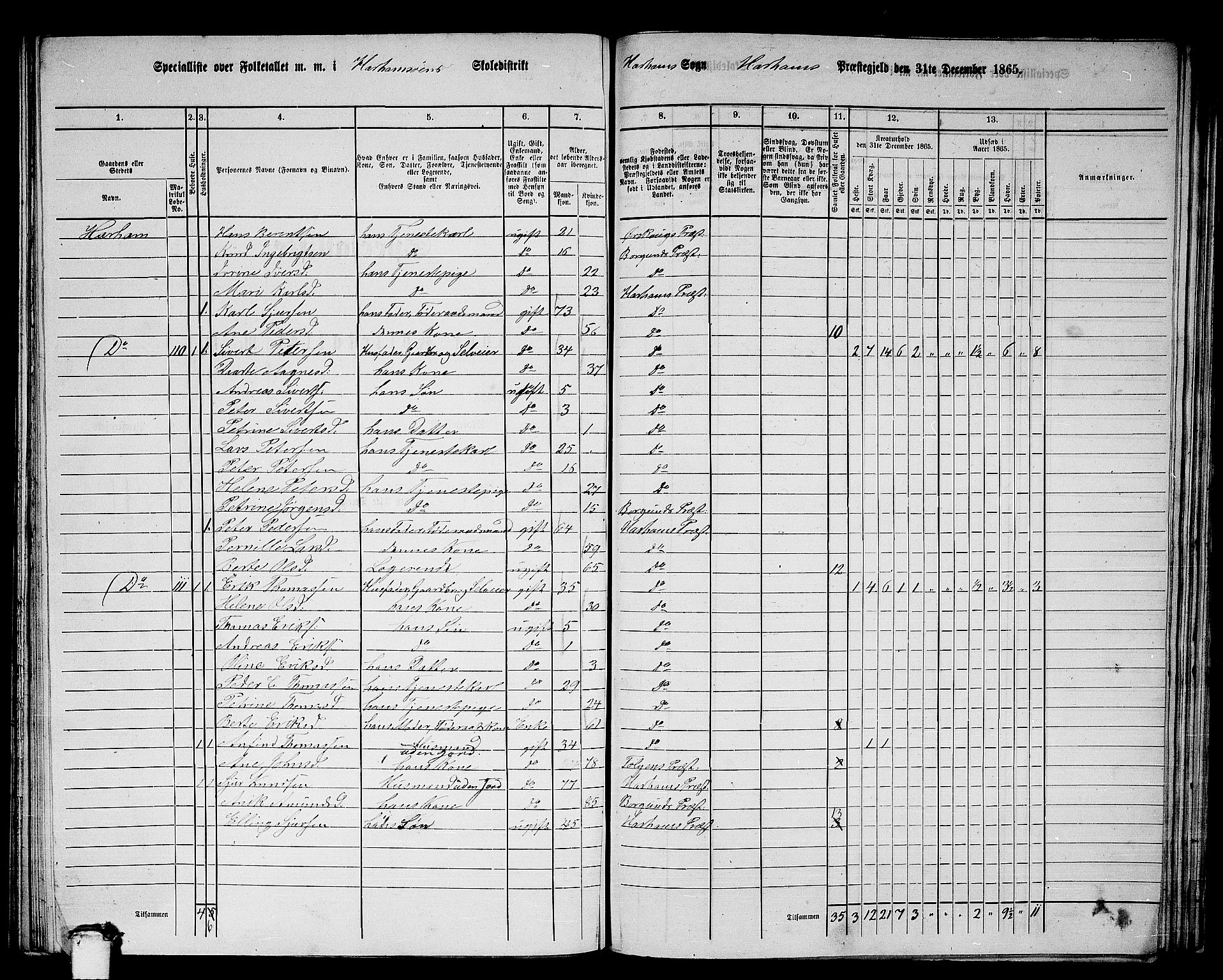 RA, 1865 census for Haram, 1865, p. 53