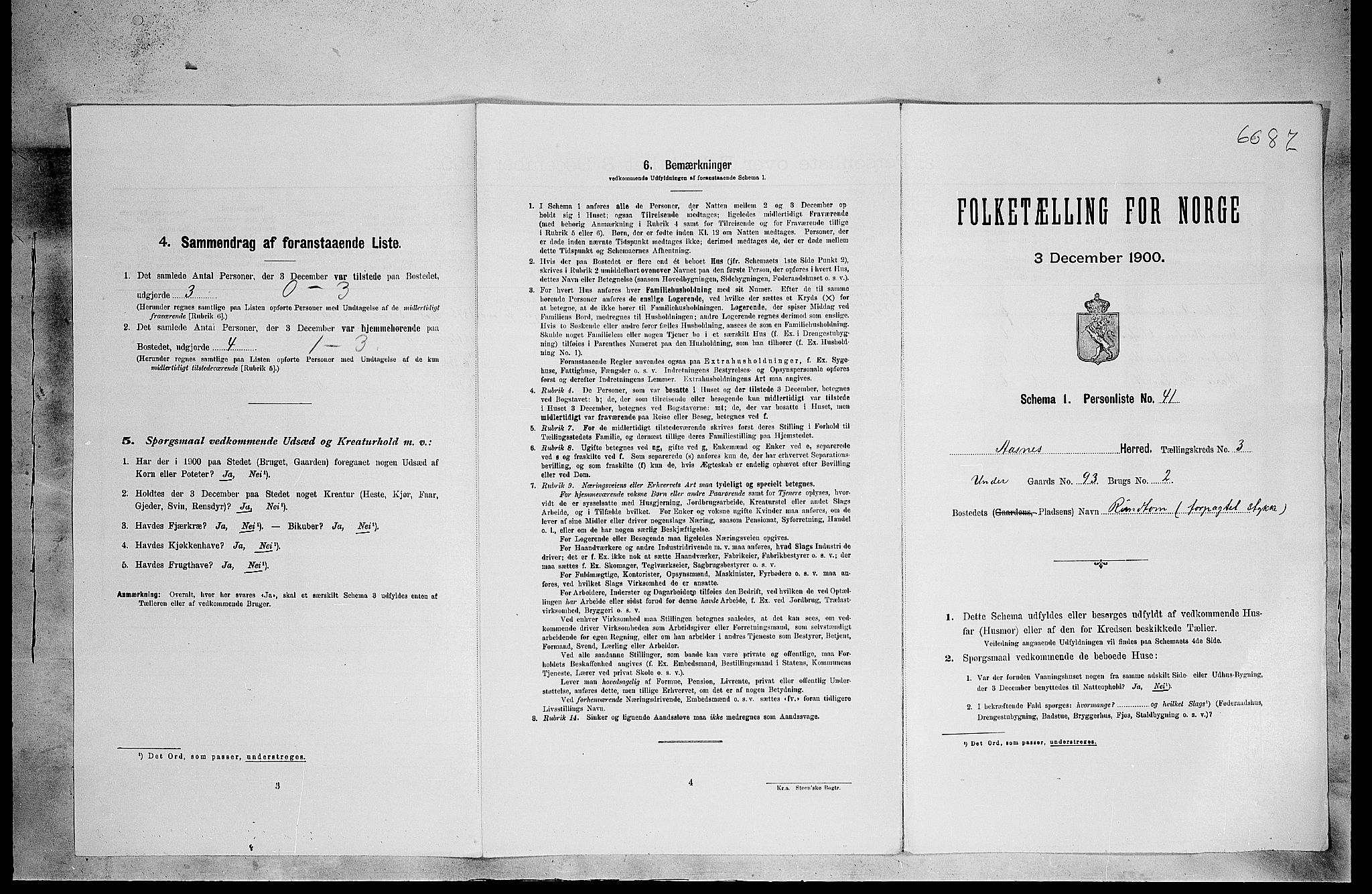 SAH, 1900 census for Åsnes, 1900, p. 500