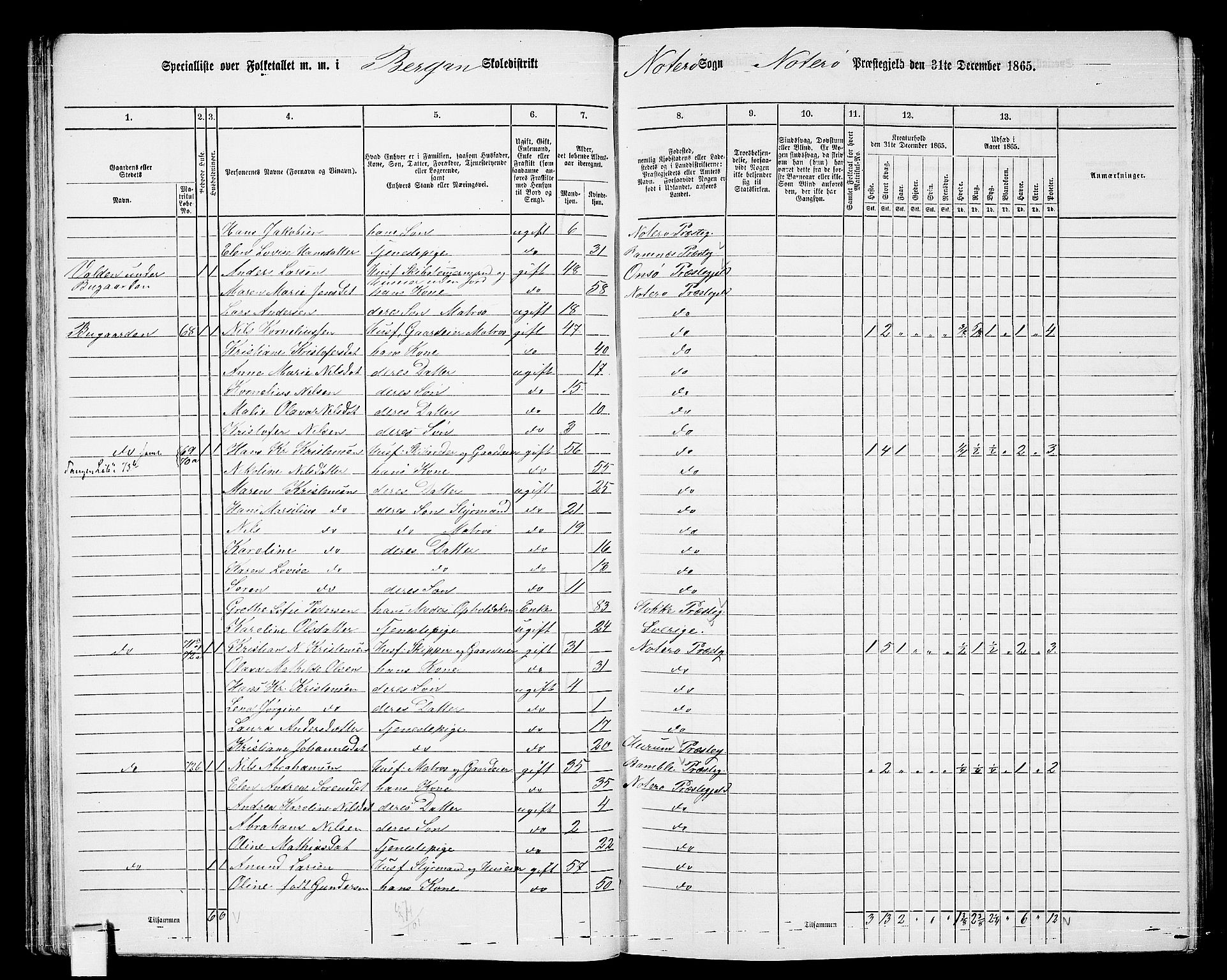 RA, 1865 census for Nøtterøy, 1865, p. 59