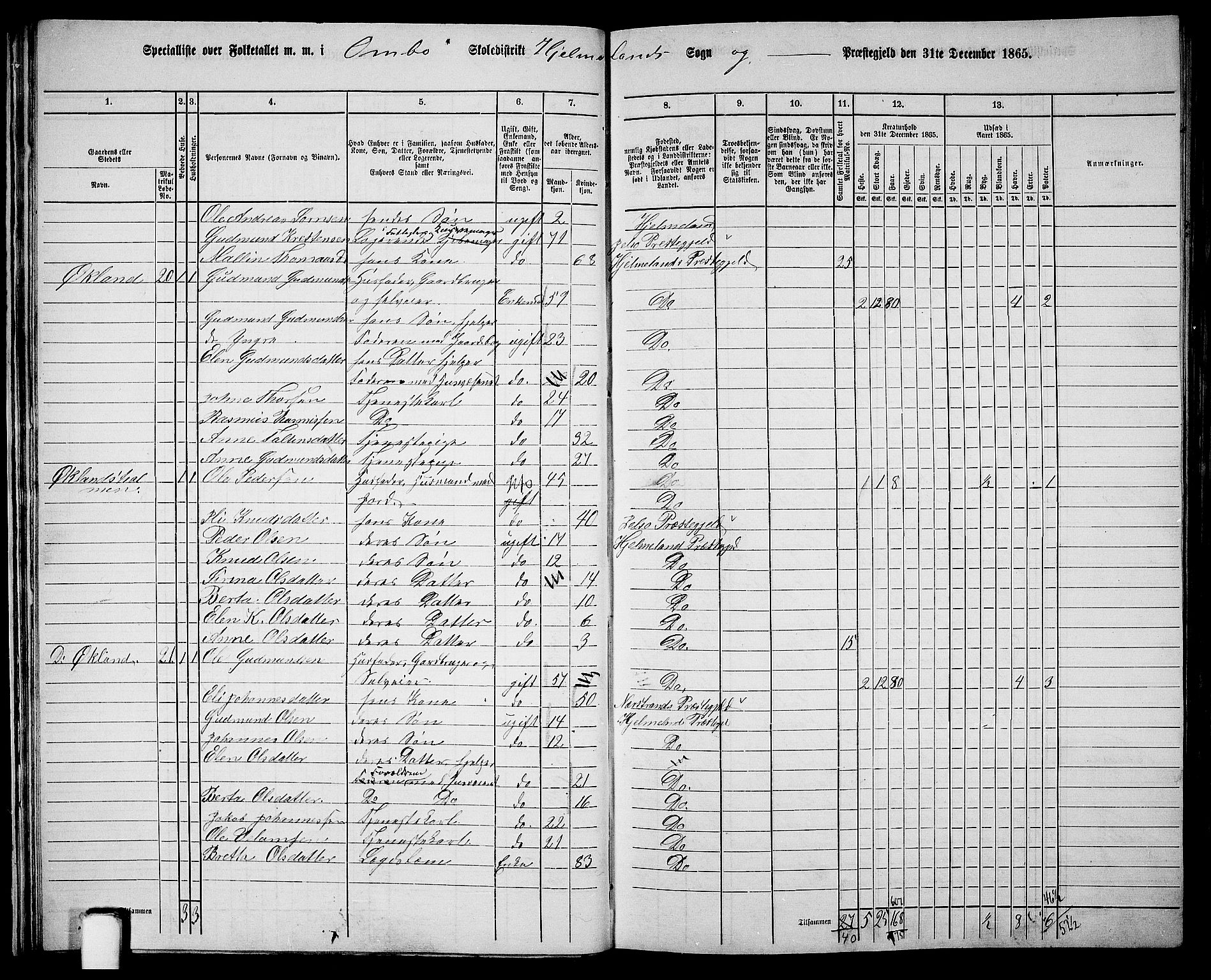 RA, 1865 census for Hjelmeland, 1865, p. 28