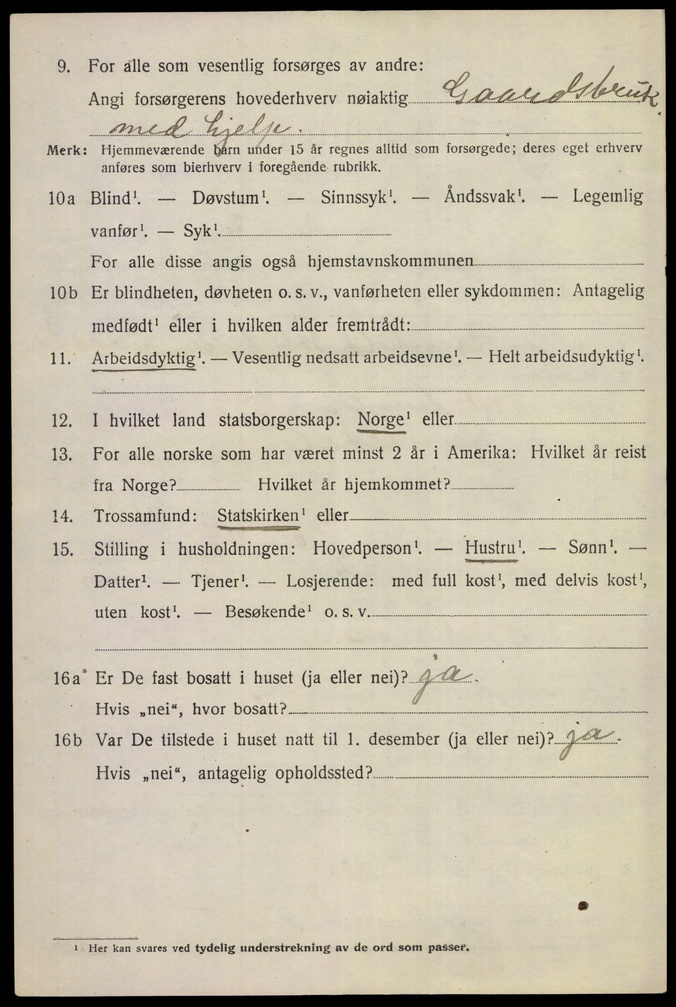 SAKO, 1920 census for Hemsedal, 1920, p. 995