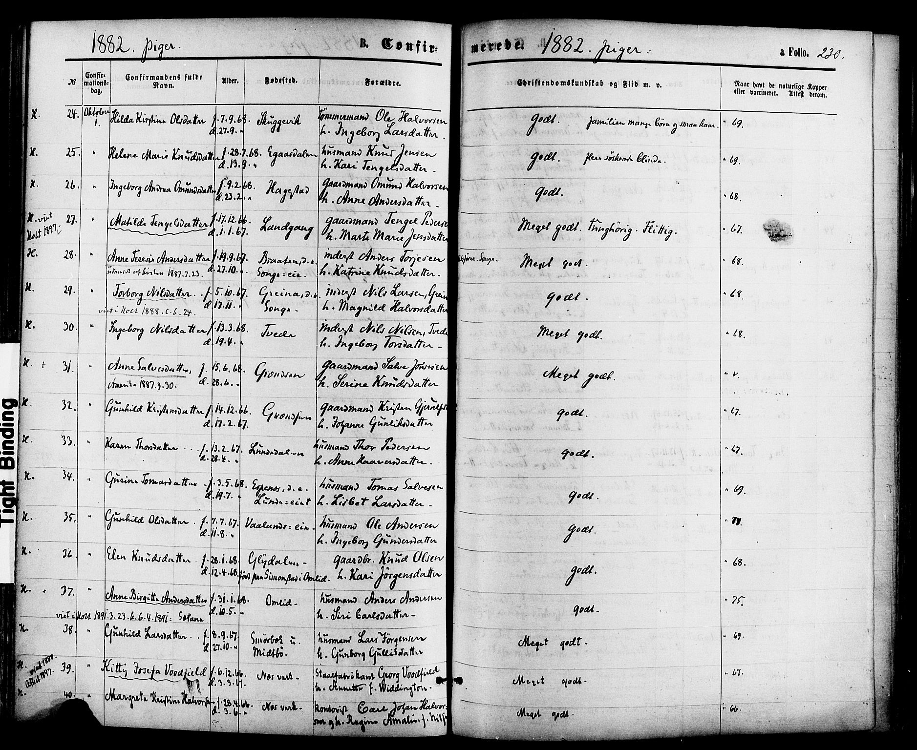 Holt sokneprestkontor, AV/SAK-1111-0021/F/Fa/L0010: Parish register (official) no. A 10, 1872-1885, p. 230