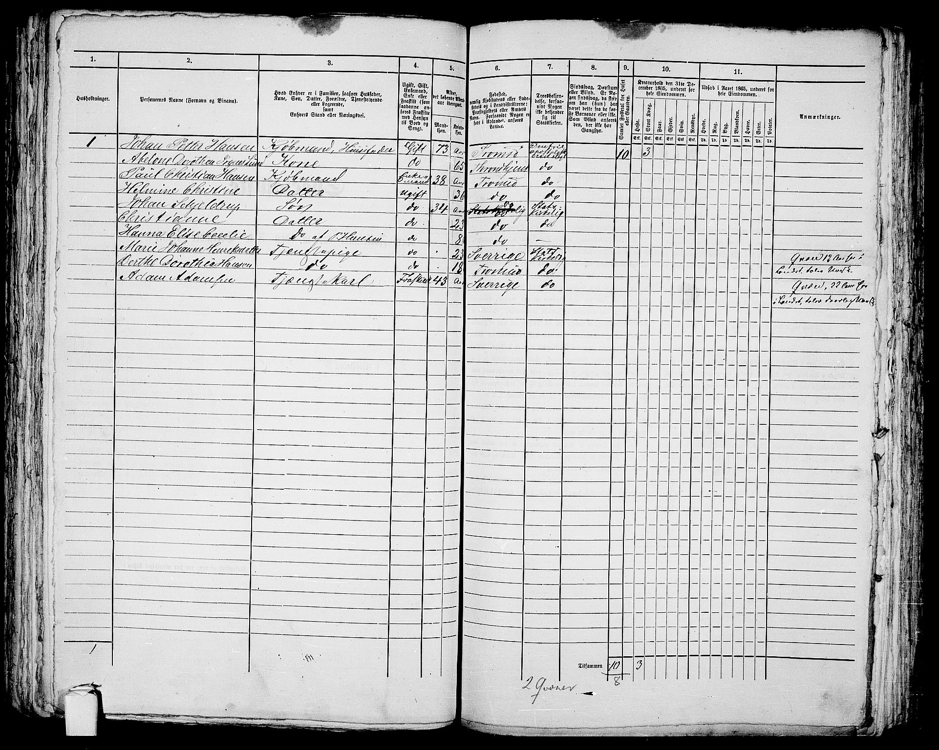 RA, 1865 census for Tromsø, 1865, p. 172