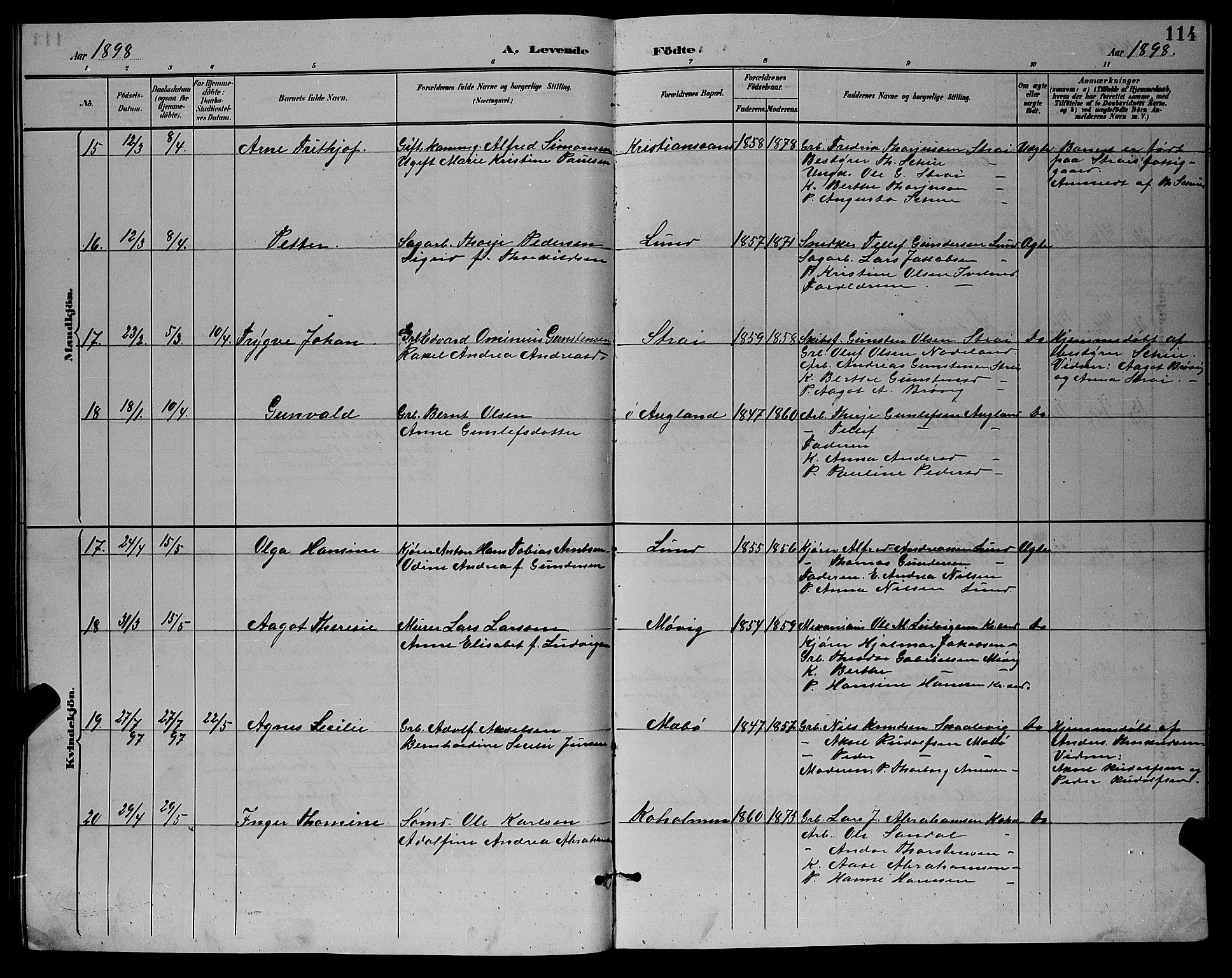 Oddernes sokneprestkontor, AV/SAK-1111-0033/F/Fb/Fba/L0008: Parish register (copy) no. B 8, 1887-1898, p. 114