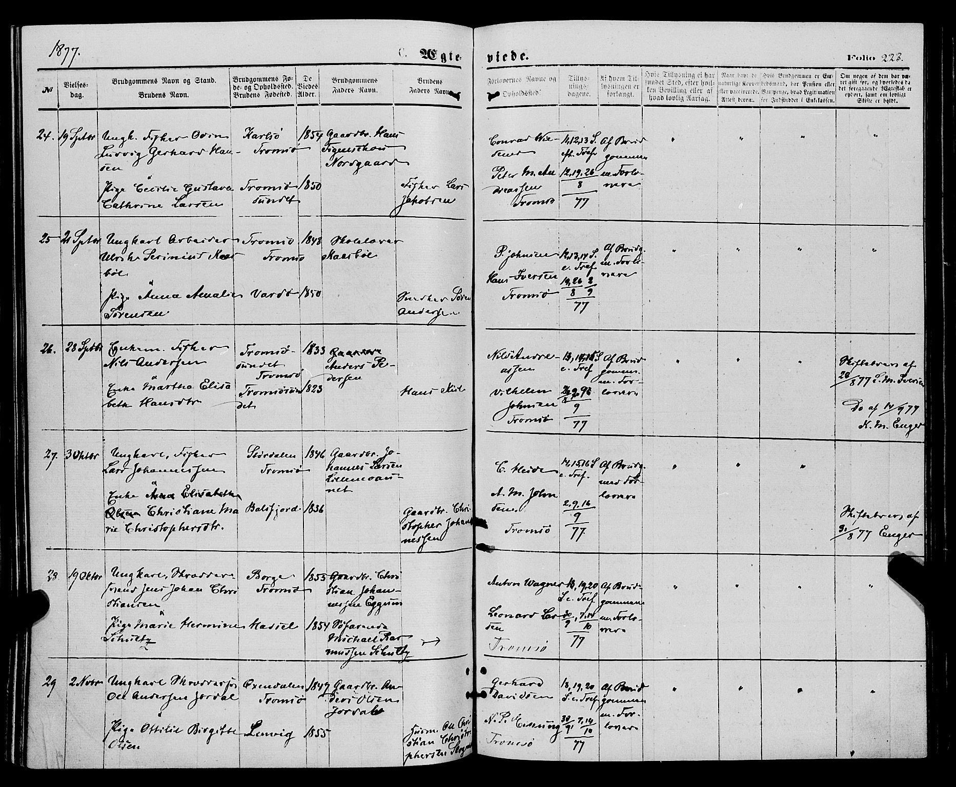 Tromsø sokneprestkontor/stiftsprosti/domprosti, AV/SATØ-S-1343/G/Ga/L0013kirke: Parish register (official) no. 13, 1872-1877, p. 223