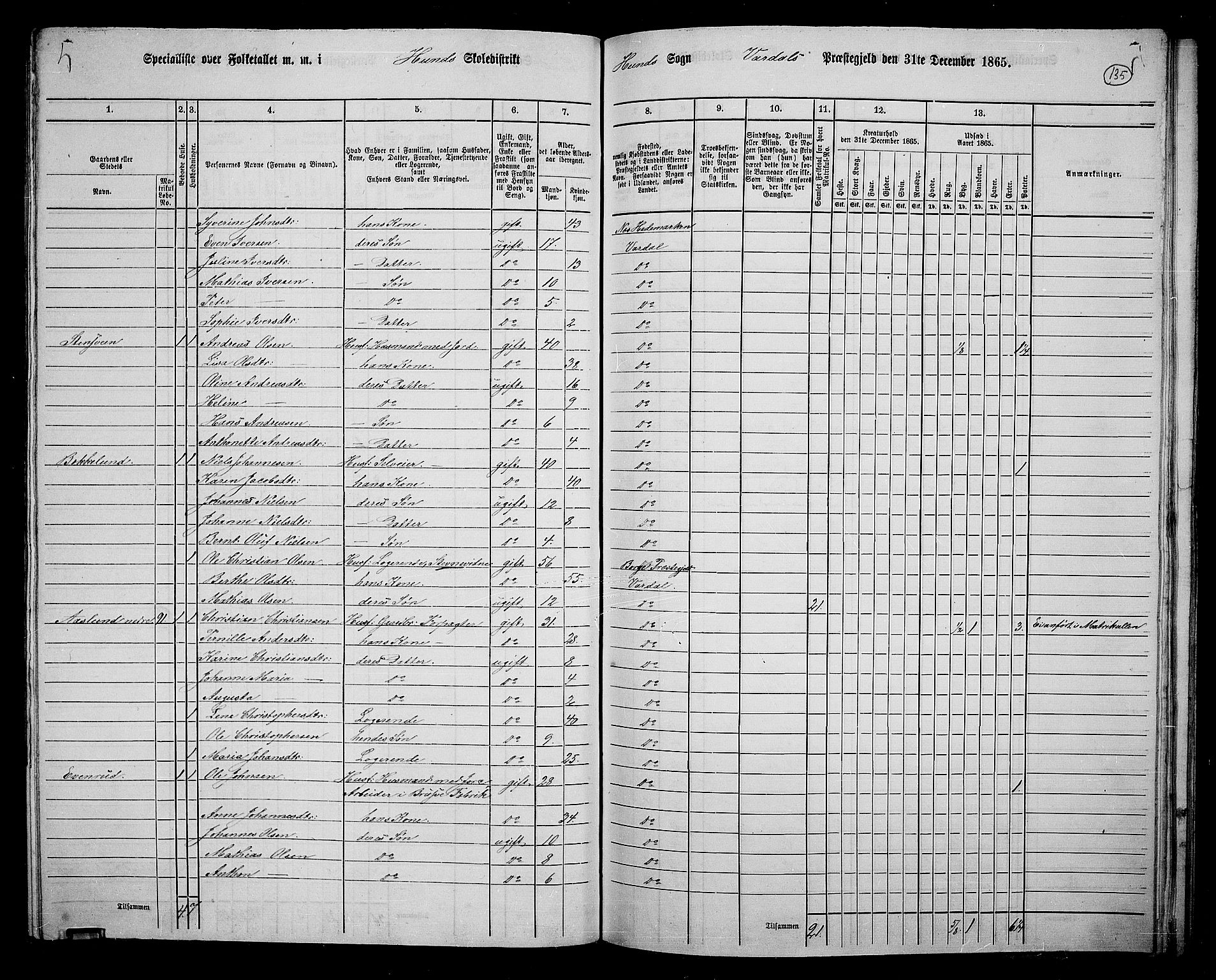 RA, 1865 census for Vardal/Vardal og Hunn, 1865, p. 119