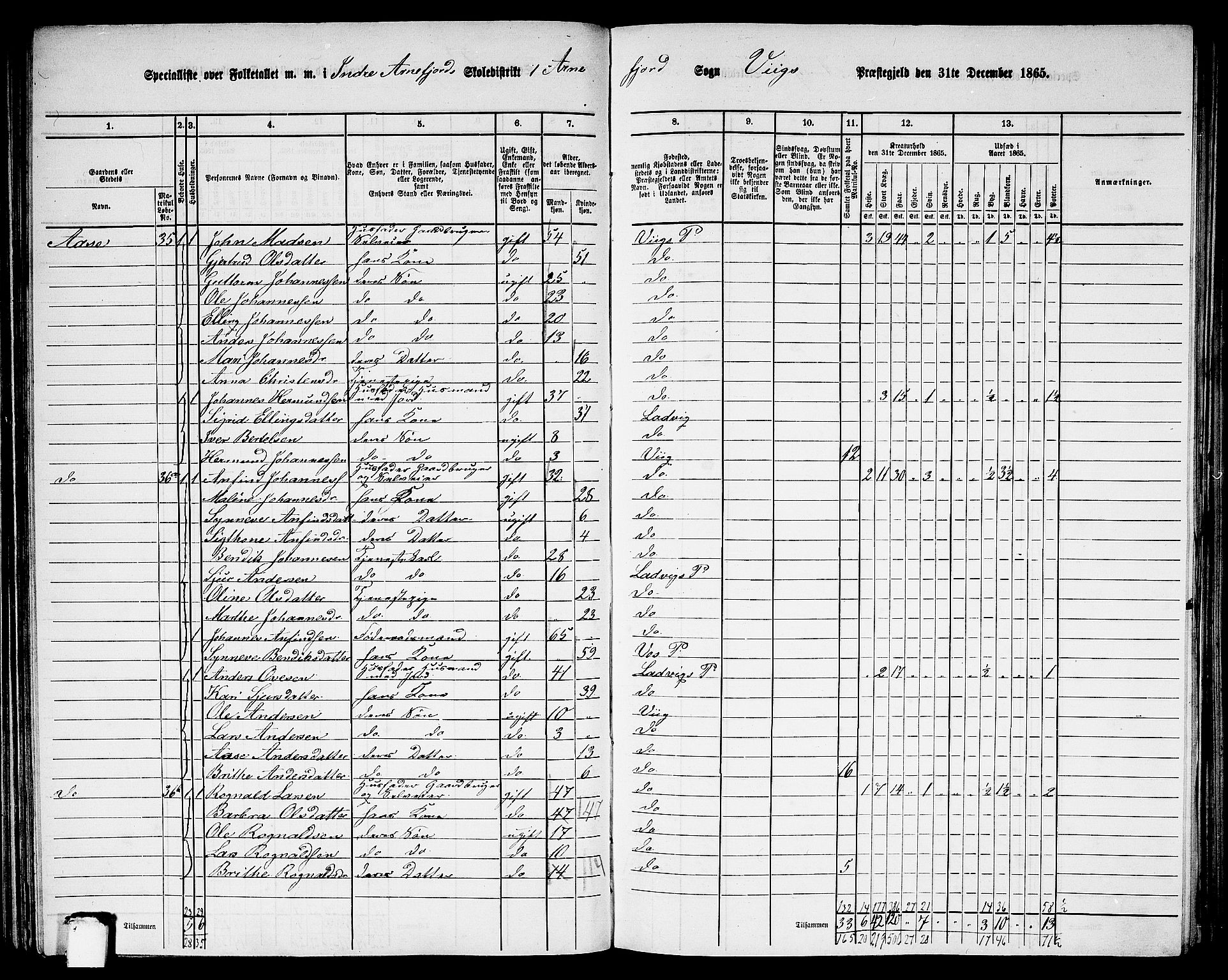 RA, 1865 census for Vik, 1865, p. 87