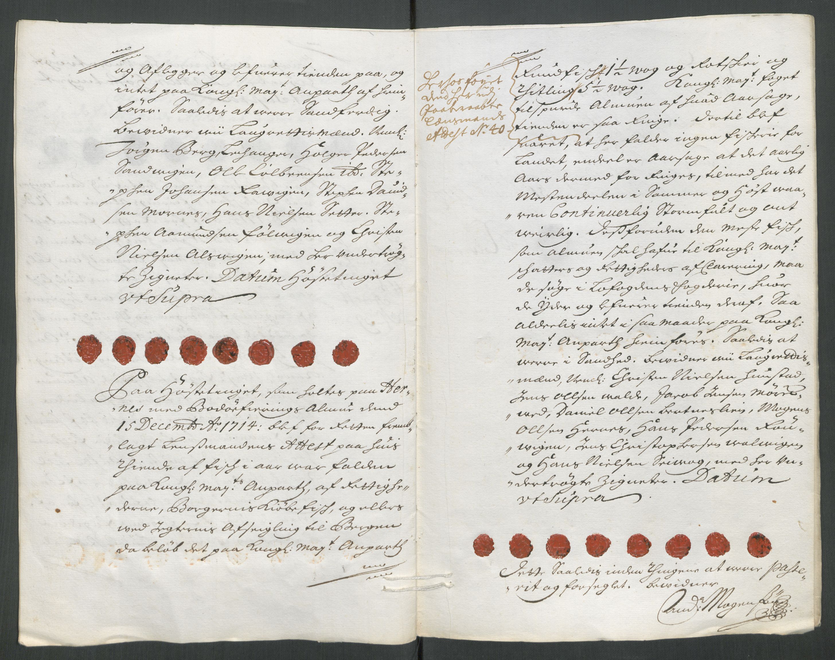 Rentekammeret inntil 1814, Reviderte regnskaper, Fogderegnskap, AV/RA-EA-4092/R66/L4584: Fogderegnskap Salten, 1714, p. 266