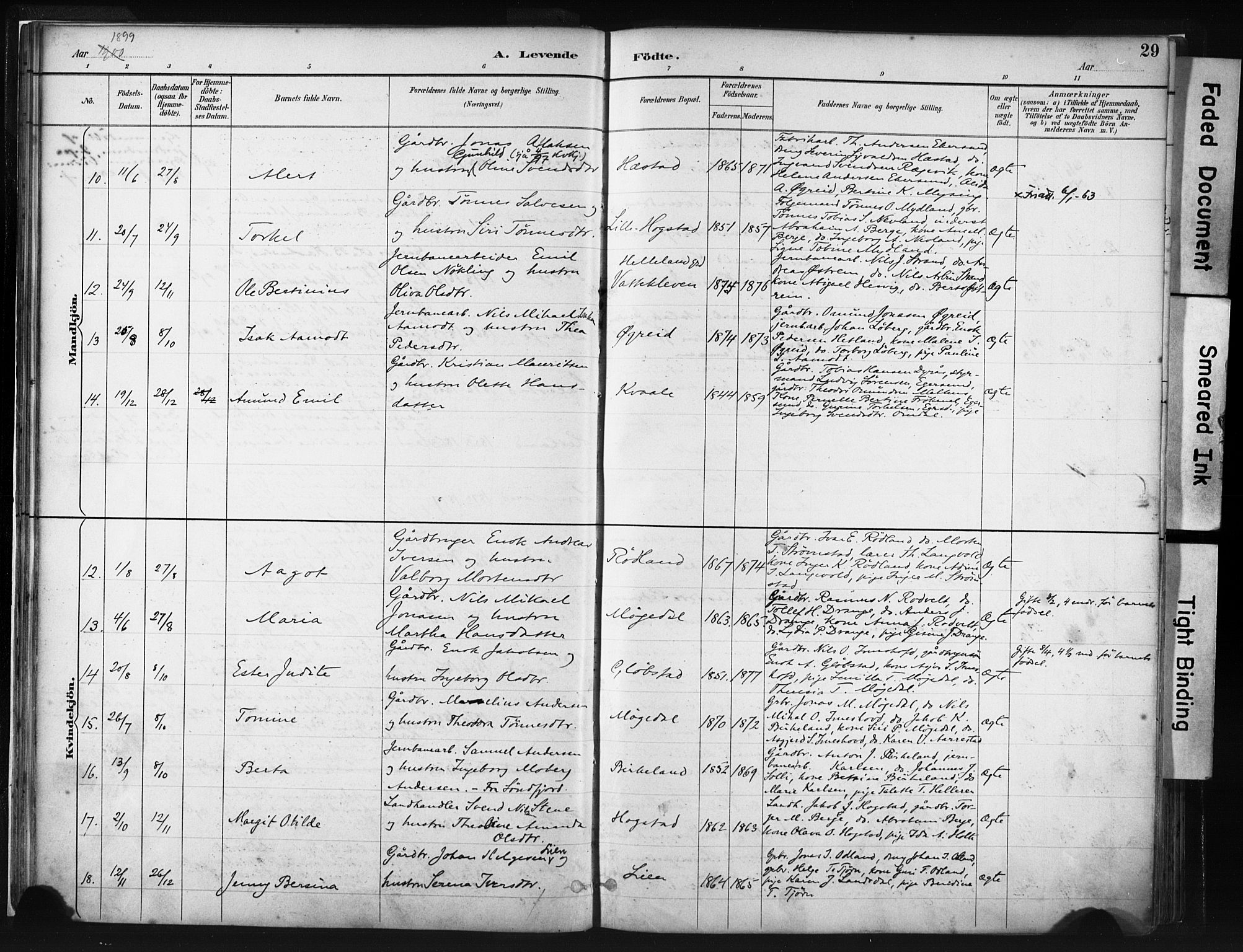 Helleland sokneprestkontor, AV/SAST-A-101810: Parish register (official) no. A 8, 1887-1907, p. 29