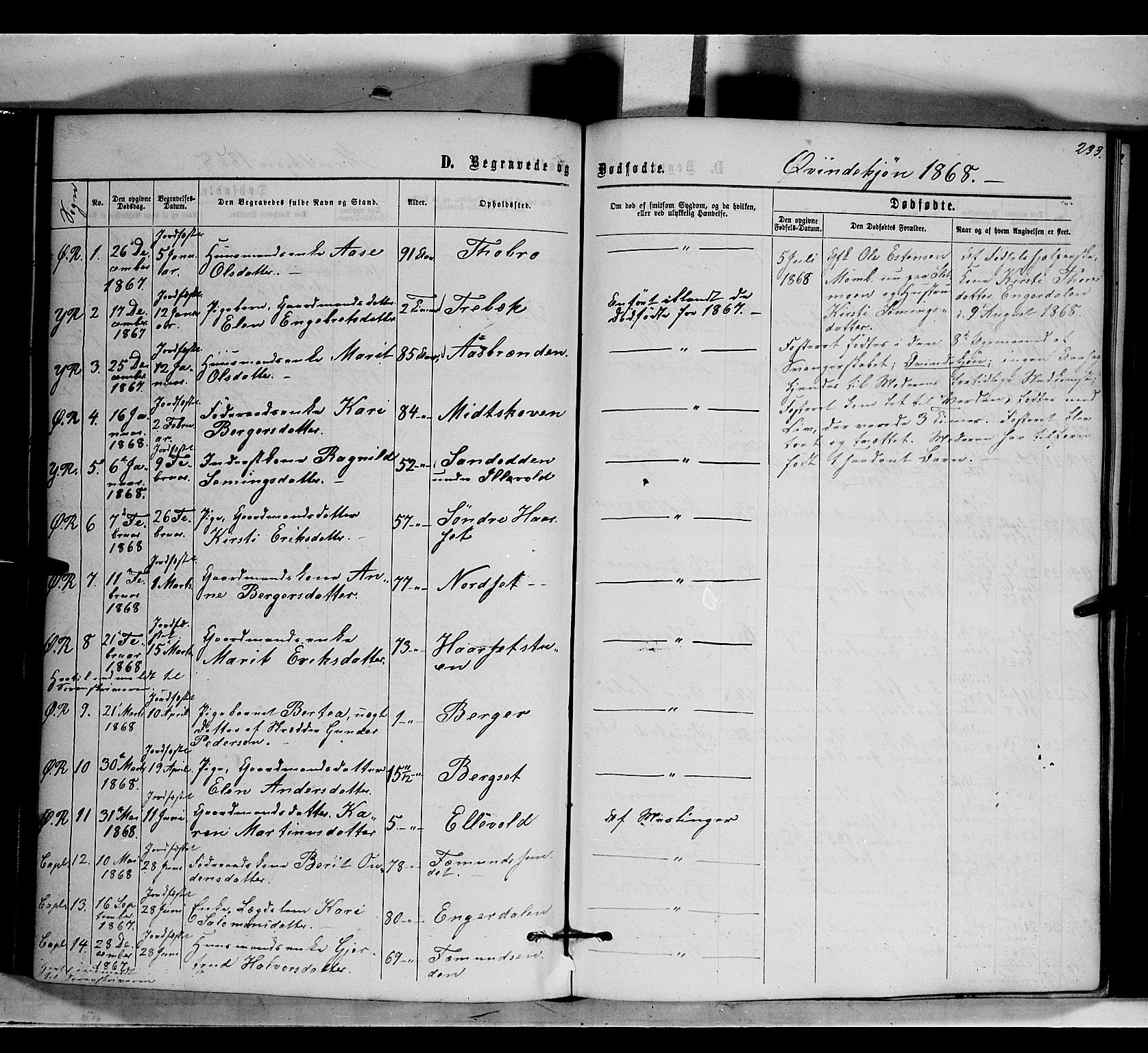 Rendalen prestekontor, SAH/PREST-054/H/Ha/Haa/L0006: Parish register (official) no. 6, 1867-1877, p. 233