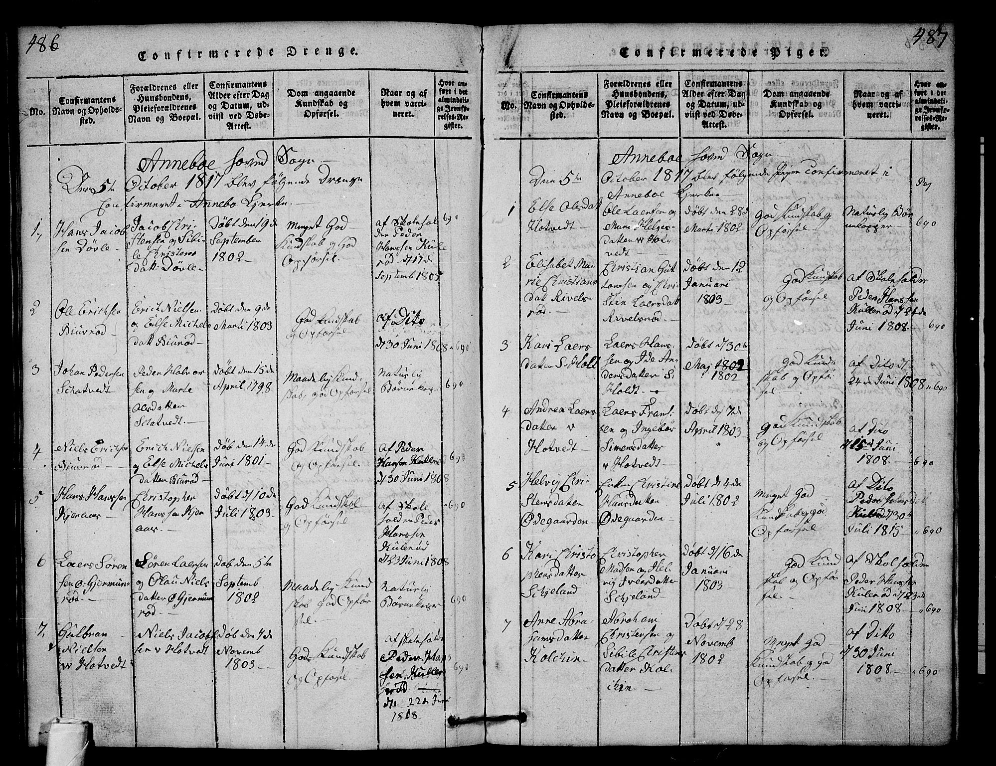 Andebu kirkebøker, AV/SAKO-A-336/G/Ga/L0001: Parish register (copy) no. I 1 /1, 1815-1823, p. 486-487