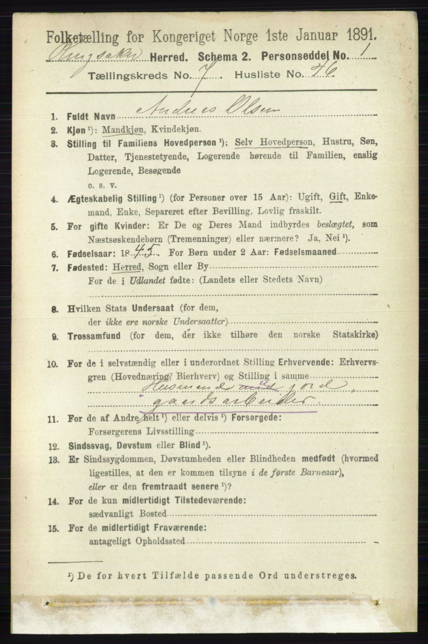 RA, 1891 census for 0412 Ringsaker, 1891, p. 4208